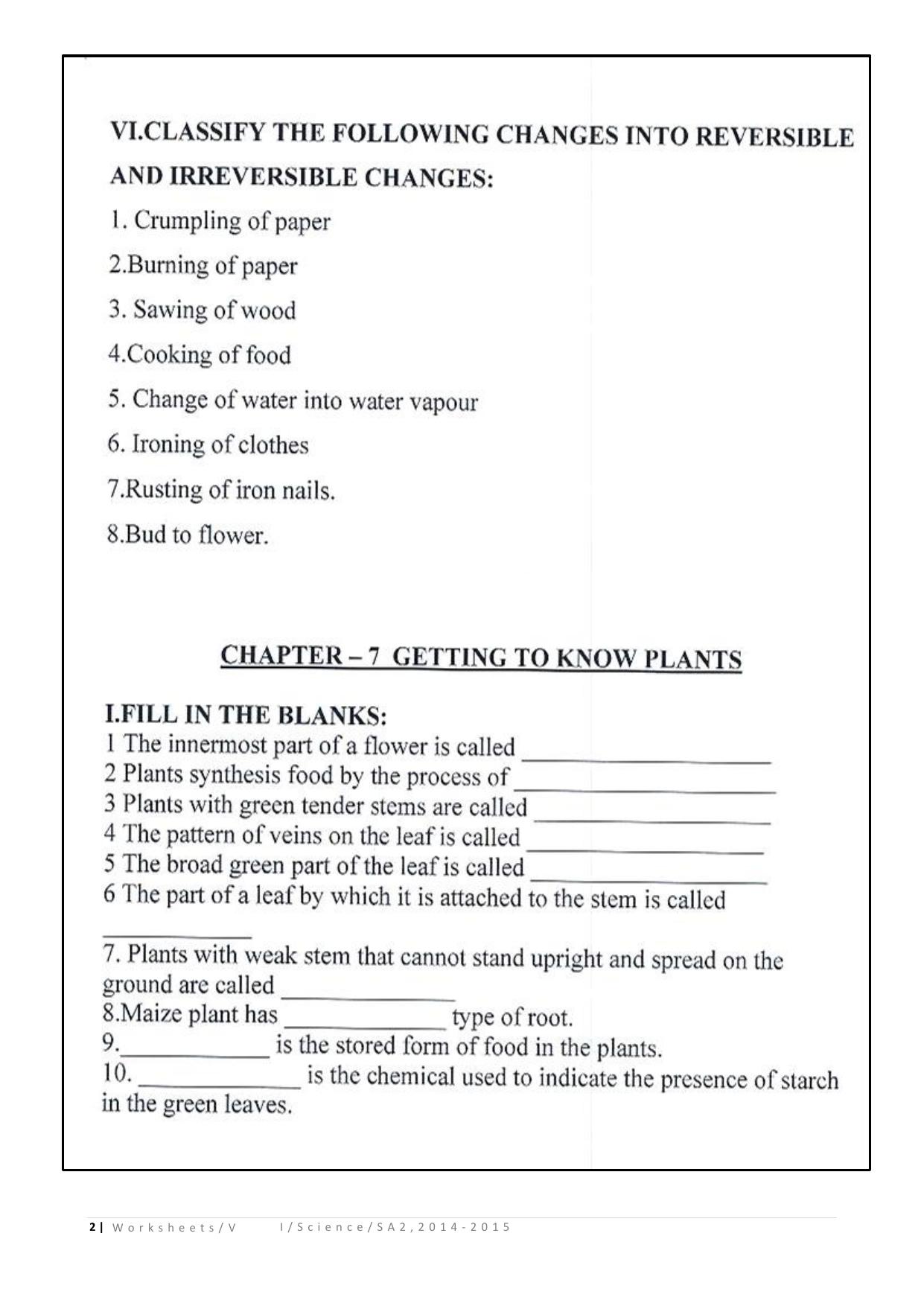CBSE Worksheets for Class 6 Science Assignment 3 - Page 2