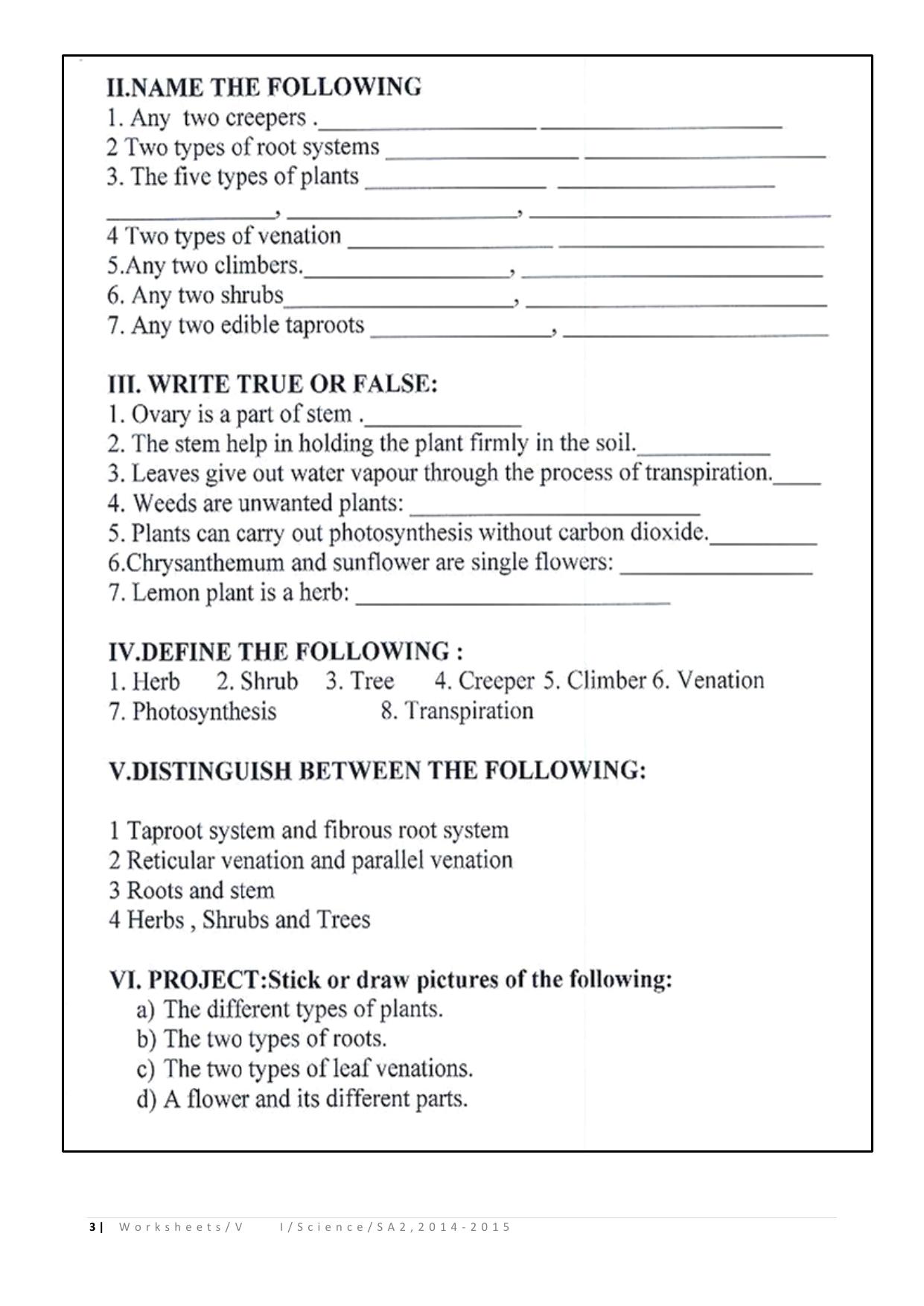 CBSE Worksheets for Class 6 Science Assignment 3 - Page 3