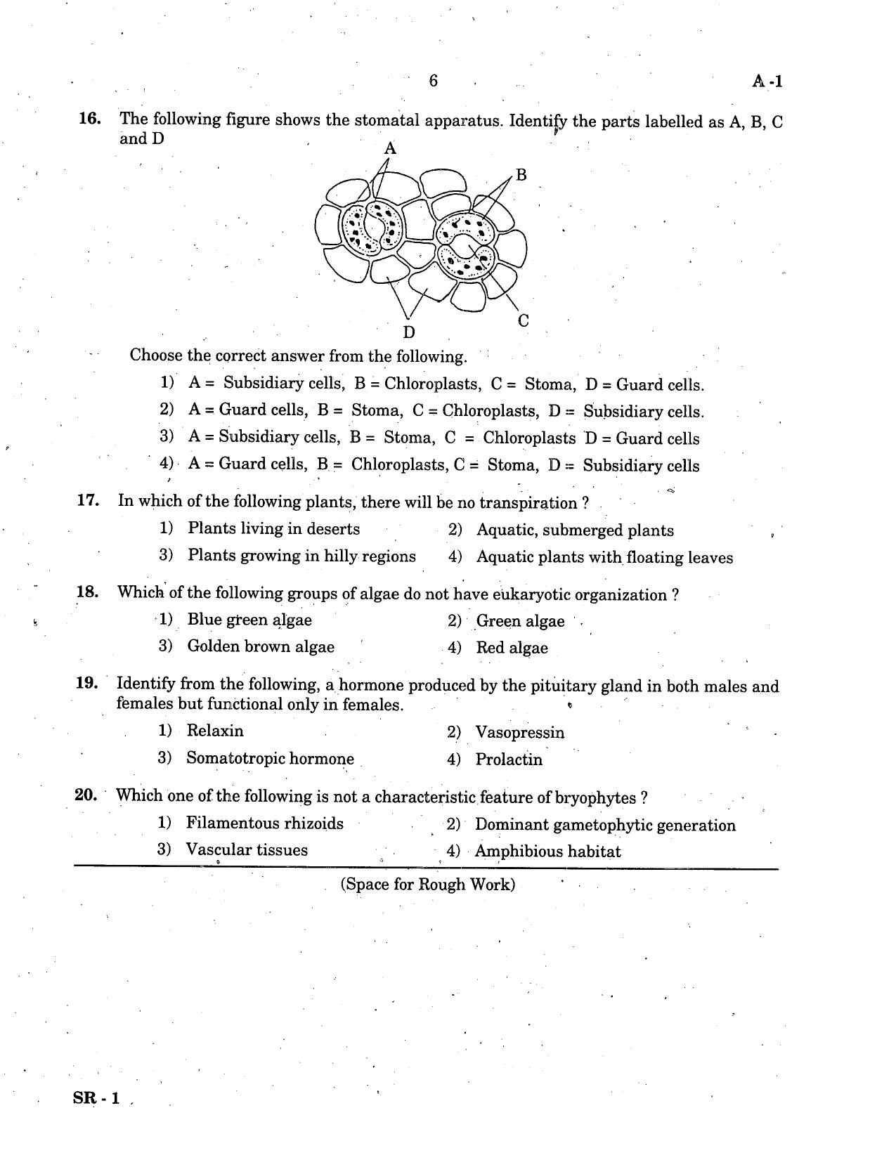 KCET Biology 2005 Question Papers - Page 6