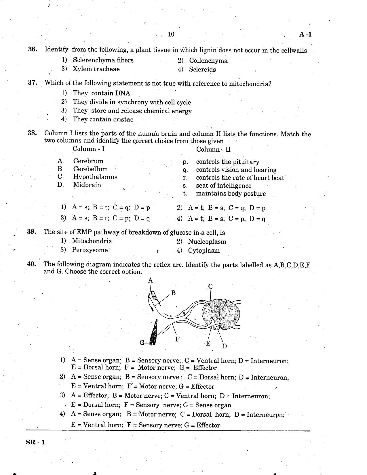 KCET Biology 2005 Question Papers - Page 10