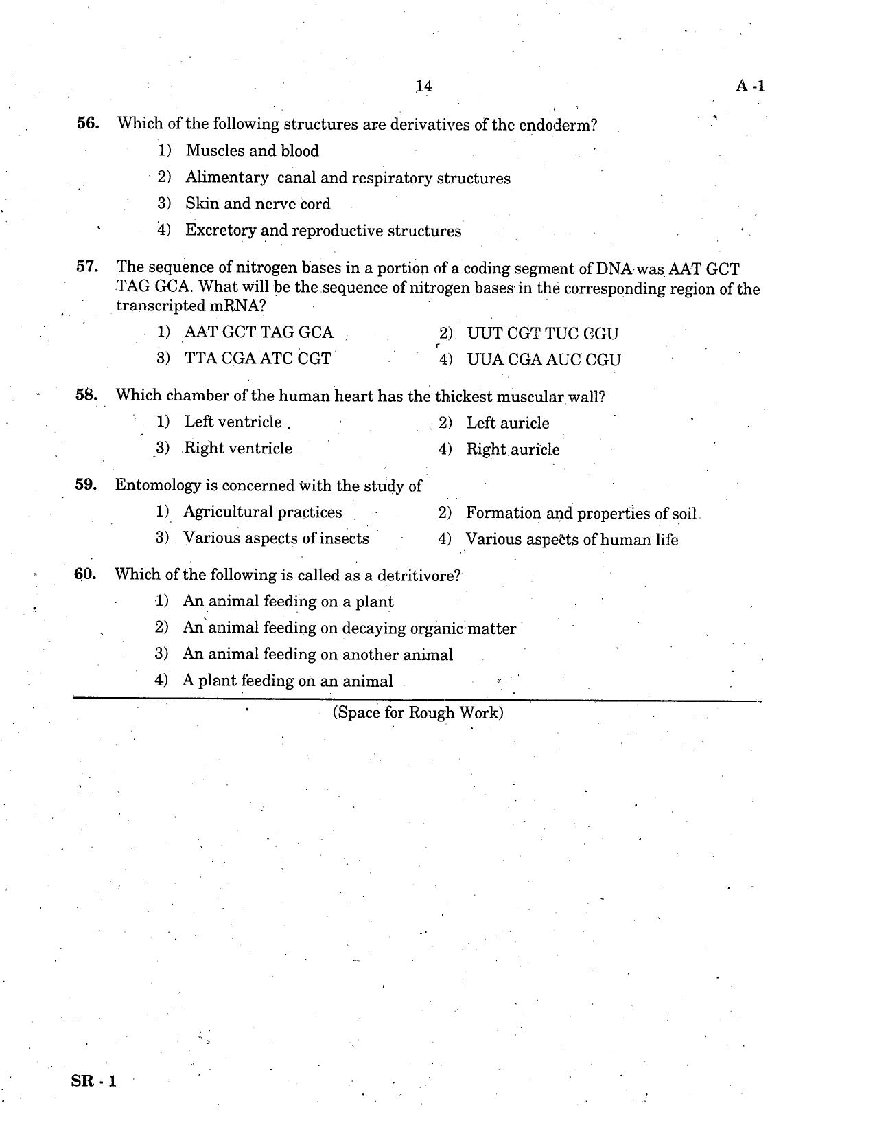 KCET Biology 2005 Question Papers - Page 14