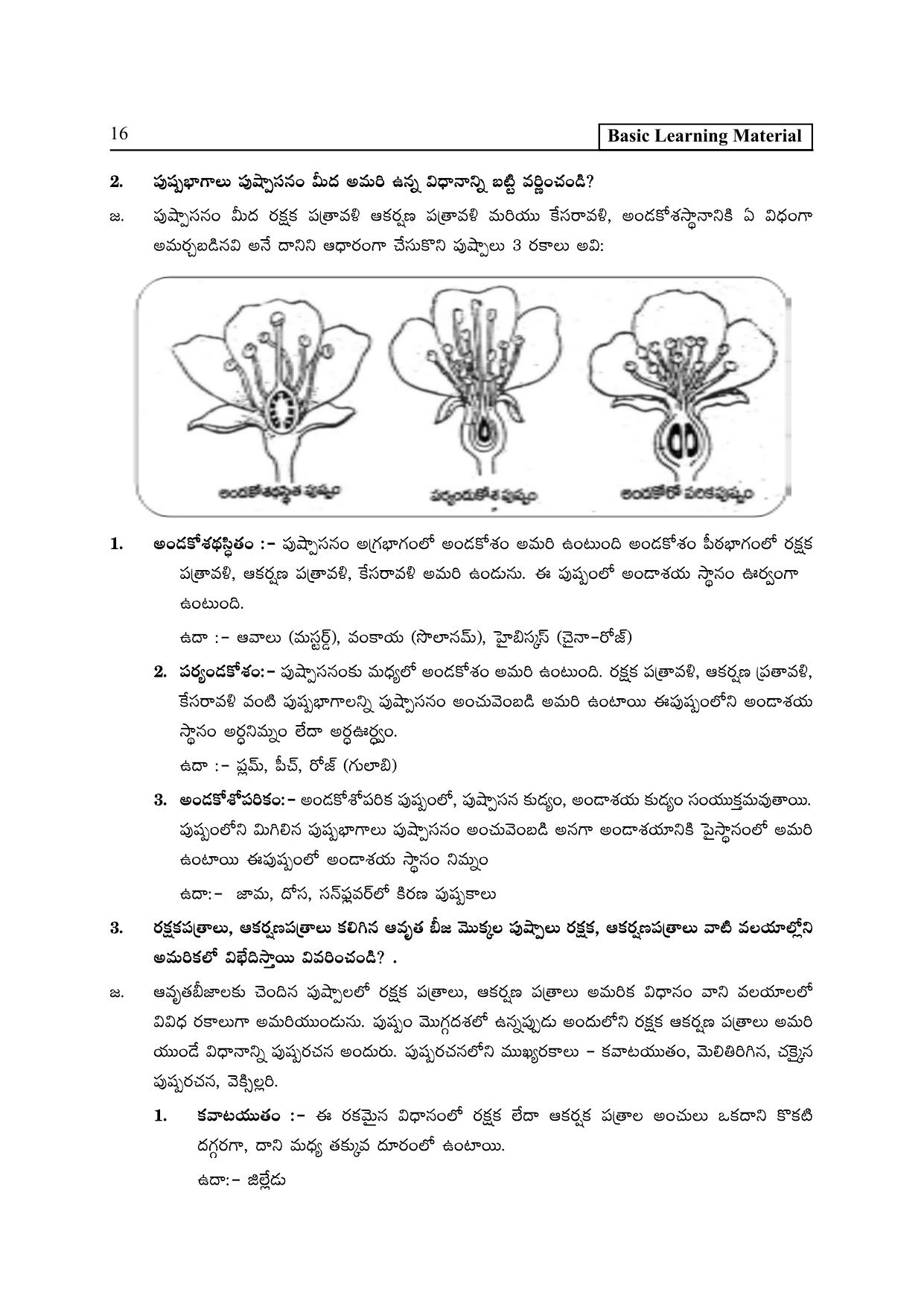 TS SCERT Inter 2nd Year Botany I TM Path 1 (Telugu Medium) Text Book - Page 21