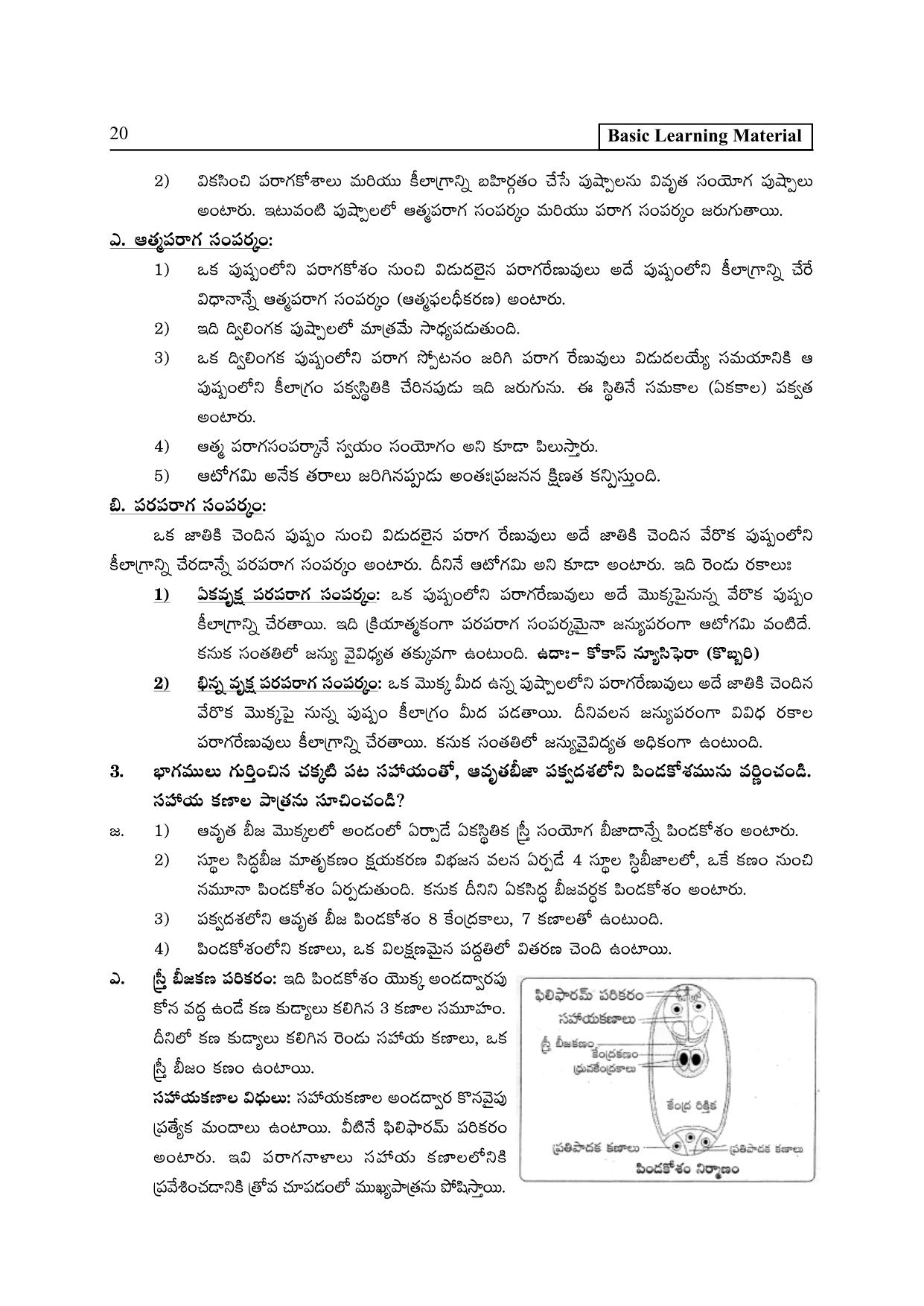 TS SCERT Inter 2nd Year Botany I TM Path 1 (Telugu Medium) Text Book - Page 25