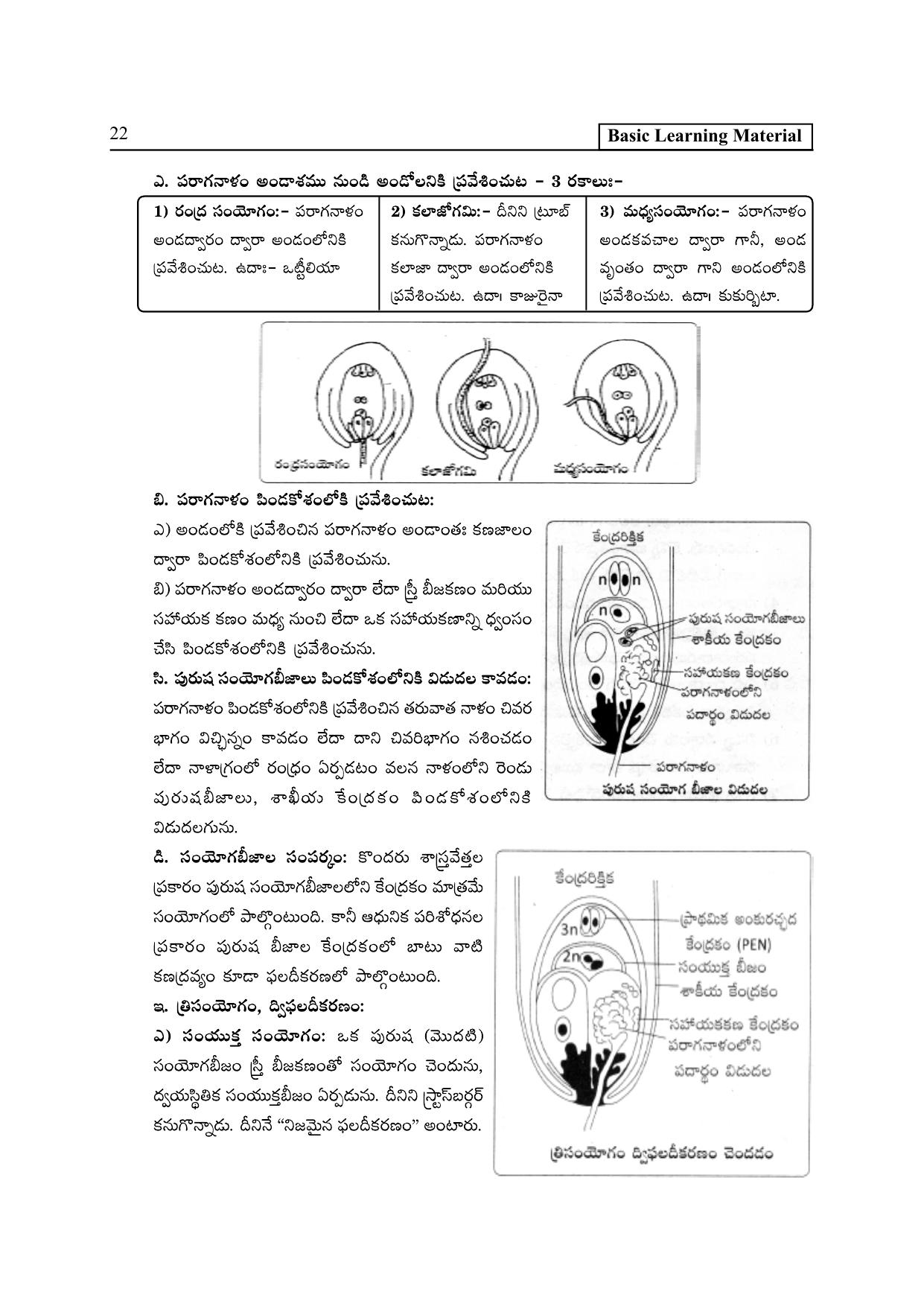 TS SCERT Inter 2nd Year Botany I TM Path 1 (Telugu Medium) Text Book - Page 27