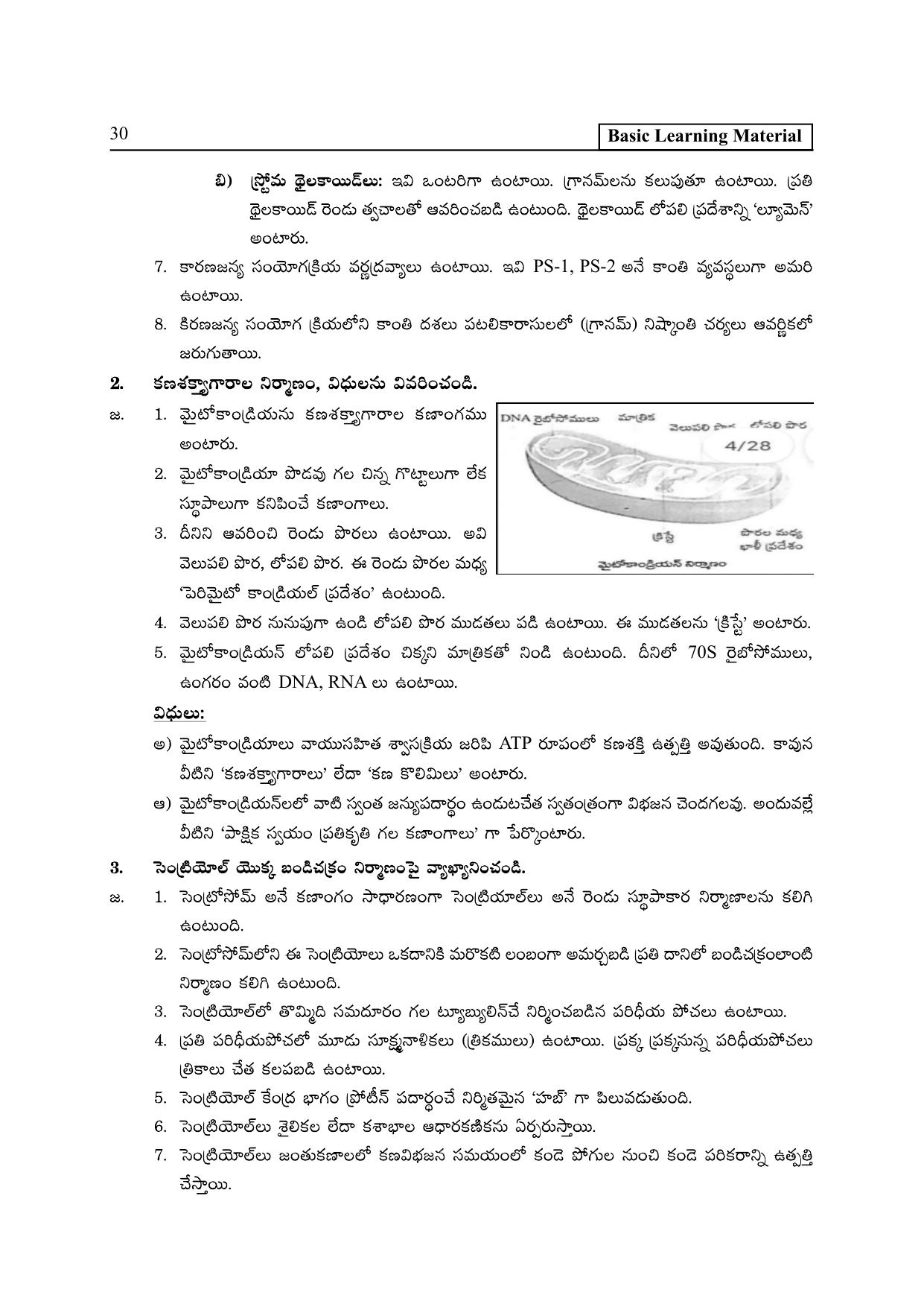 TS SCERT Inter 2nd Year Botany I TM Path 1 (Telugu Medium) Text Book - Page 35