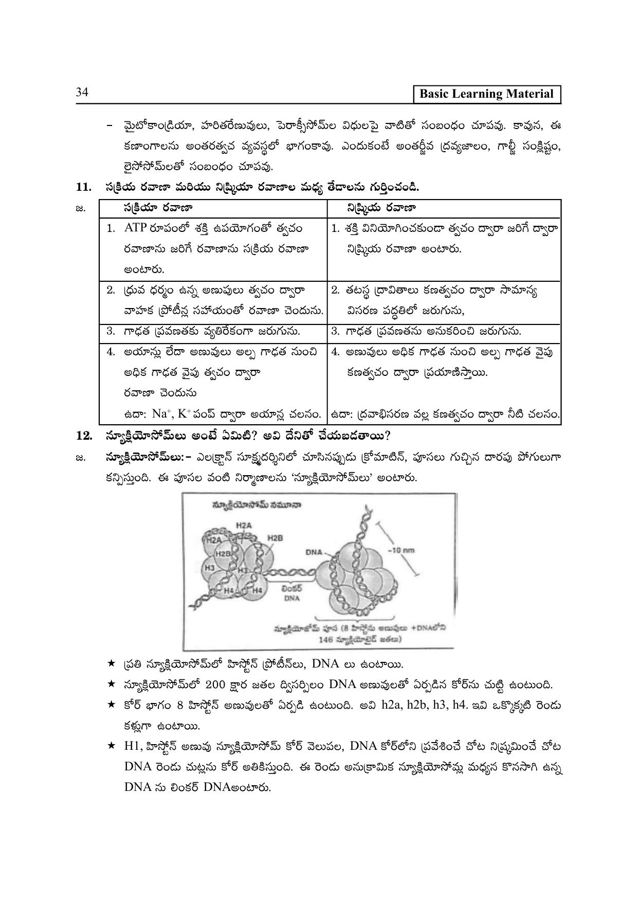 TS SCERT Inter 2nd Year Botany I TM Path 1 (Telugu Medium) Text Book - Page 39