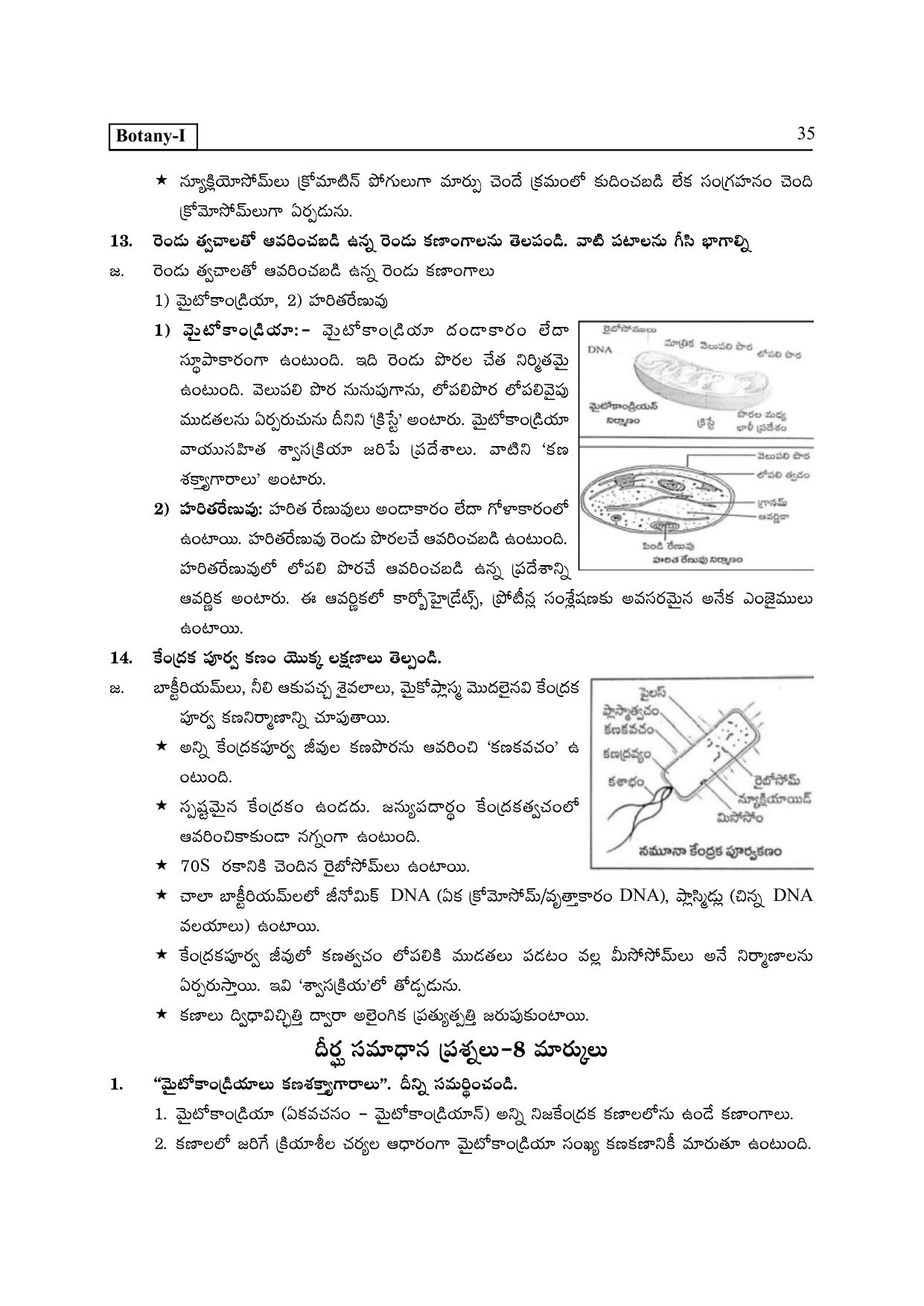 TS SCERT Inter 2nd Year Botany I TM Path 1 (Telugu Medium) Text Book - Page 40