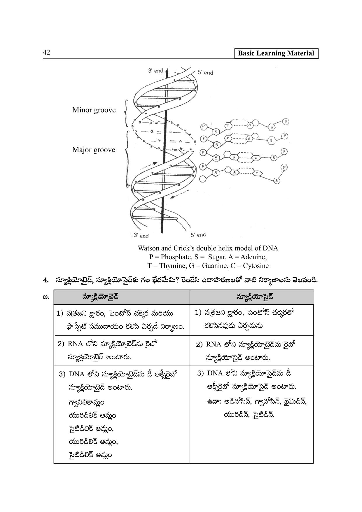 TS SCERT Inter 2nd Year Botany I TM Path 1 (Telugu Medium) Text Book - Page 47