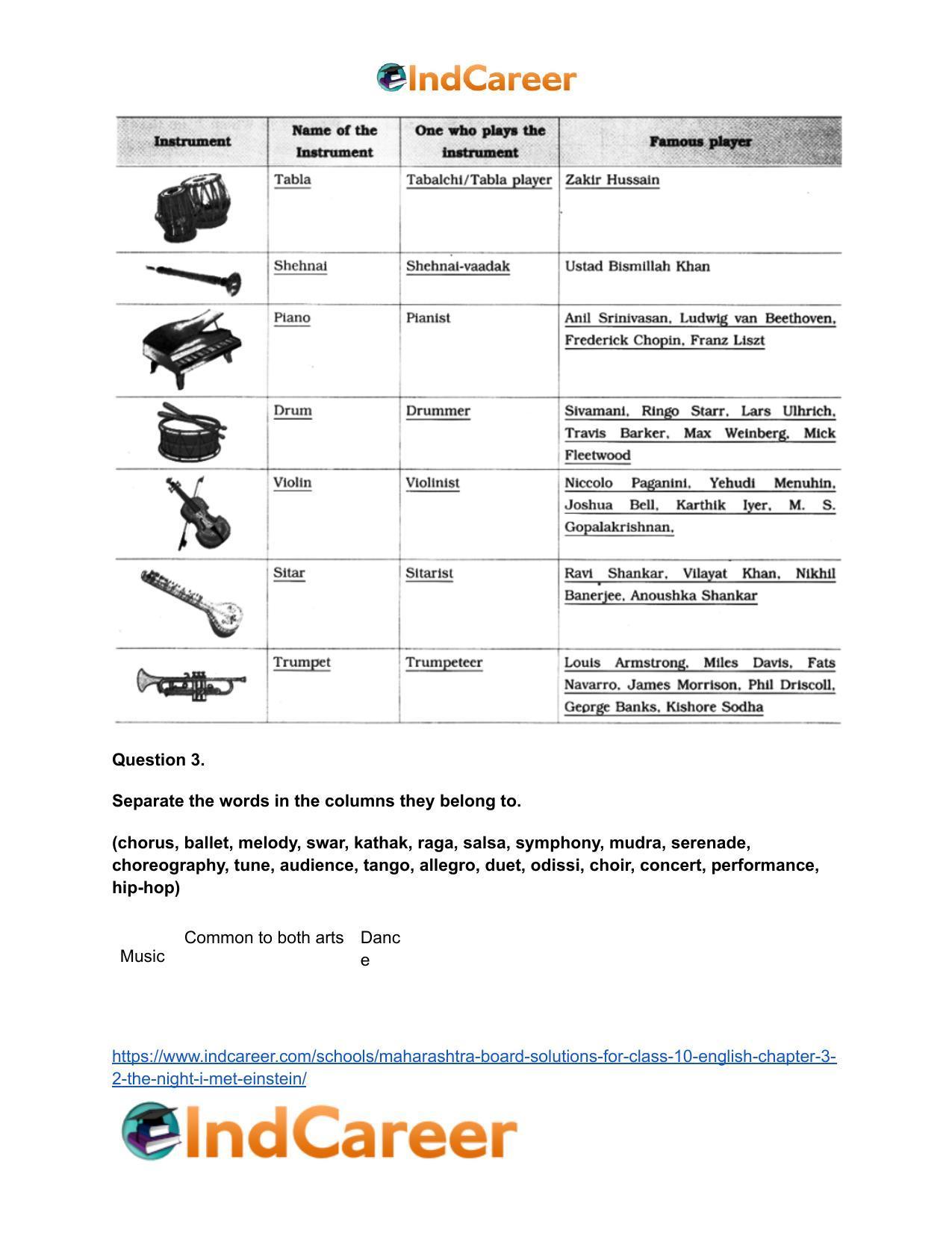 Maharashtra Board Solutions for Class 10- English: Chapter 3.2- The Night I Met Einstein - Page 5