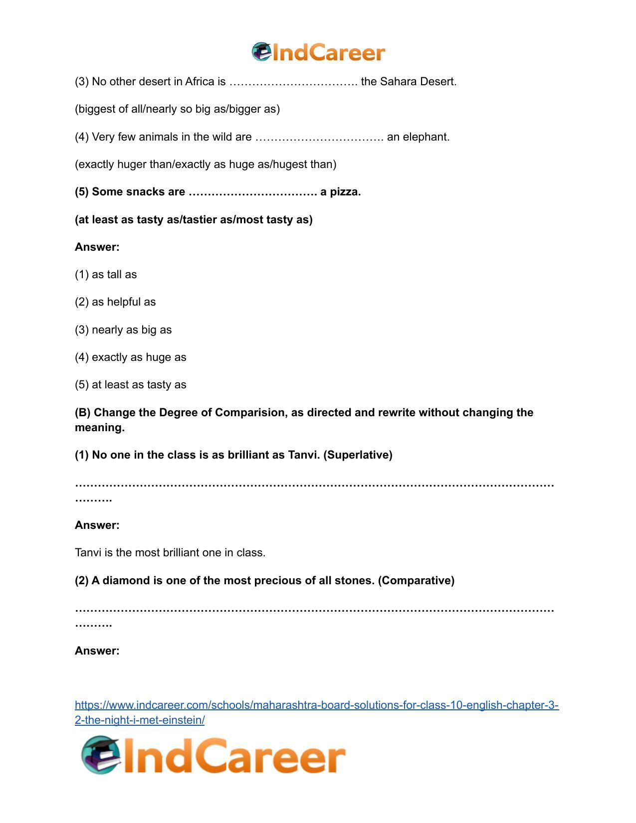Maharashtra Board Solutions for Class 10- English: Chapter 3.2- The Night I Met Einstein - Page 12