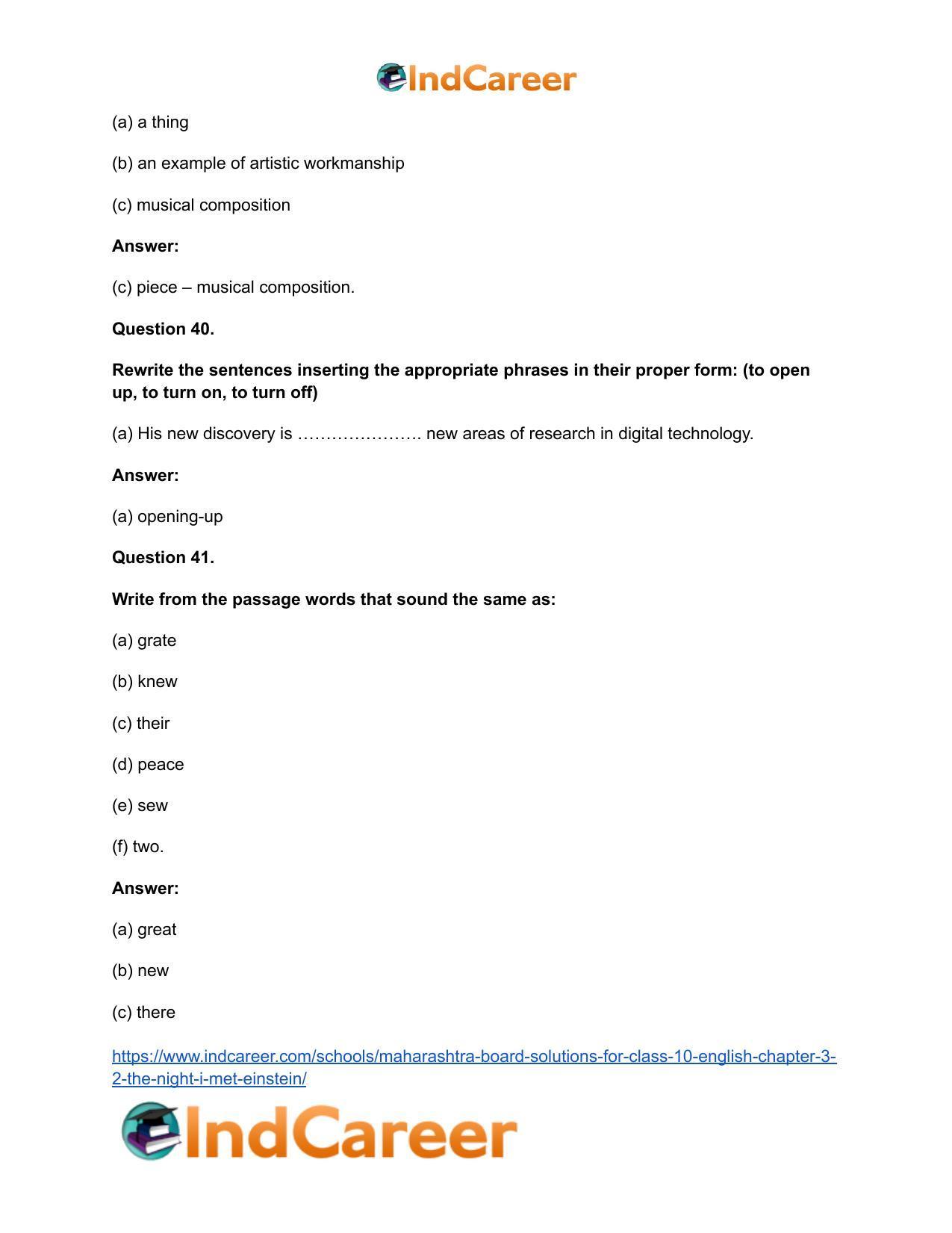 Maharashtra Board Solutions for Class 10- English: Chapter 3.2- The Night I Met Einstein - Page 25