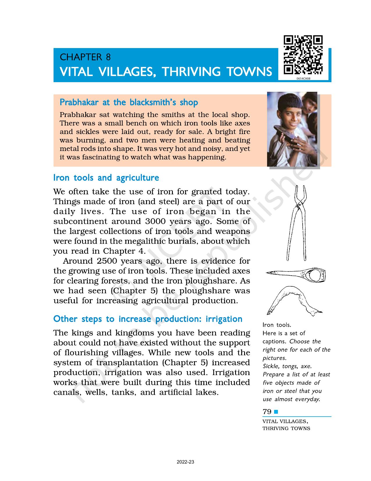 NCERT Book for Class 6 Social Science(History) : Chapter 8-Vital Villages, Thriving Towns - Page 1