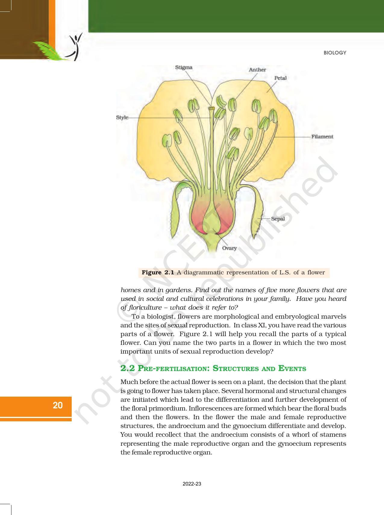 NCERT Book for Class 12 Biology Chapter 2 Sexual Reproduction in Flowering Plants - Page 2