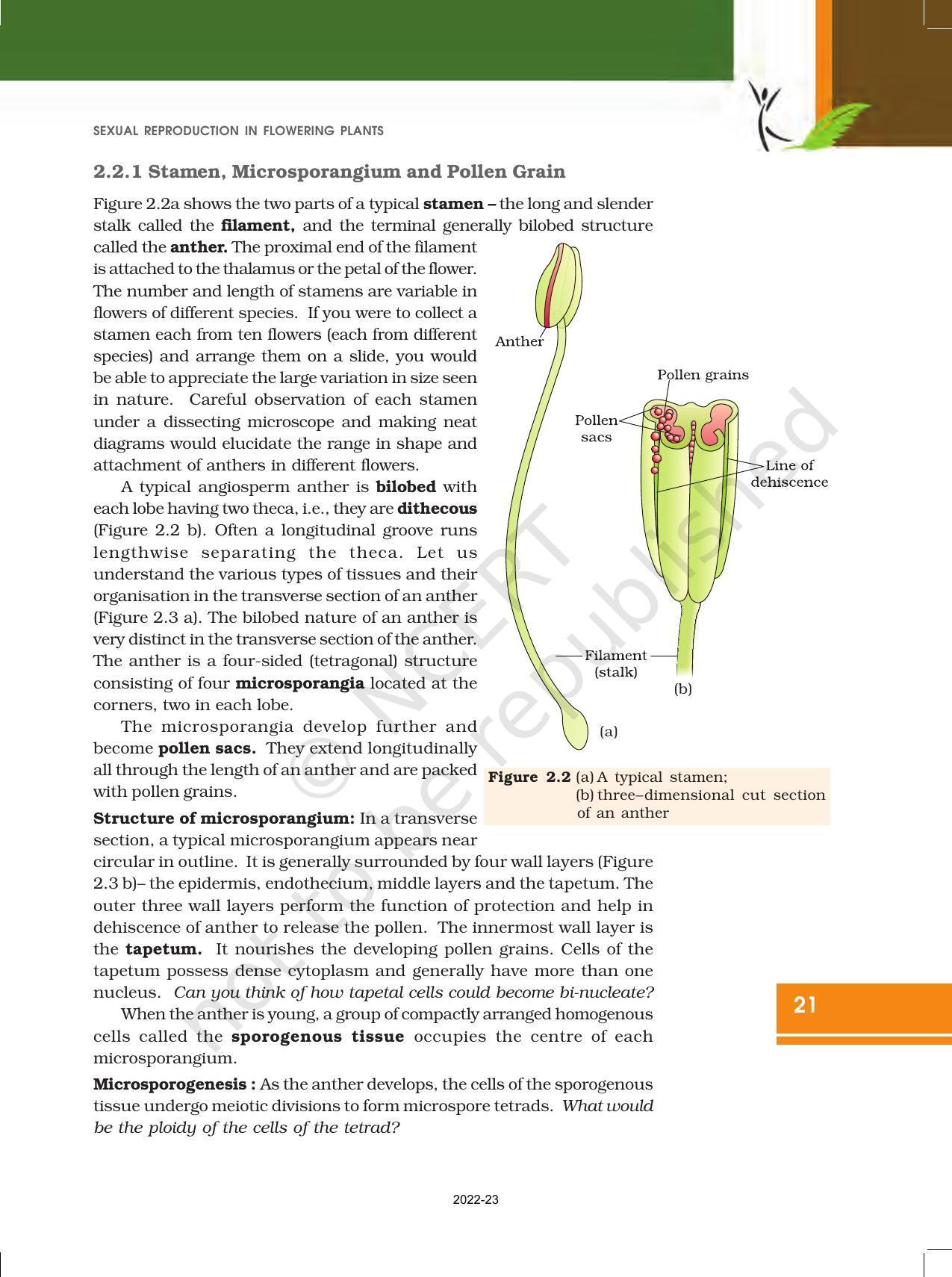 NCERT Book for Class 12 Biology Chapter 2 Sexual Reproduction in Flowering Plants - Page 3