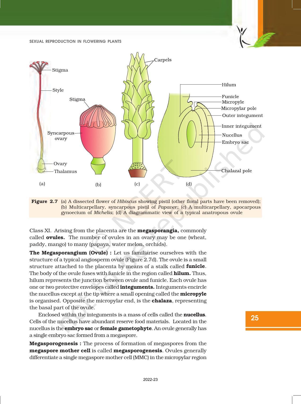 NCERT Book for Class 12 Biology Chapter 2 Sexual Reproduction in Flowering Plants - Page 7