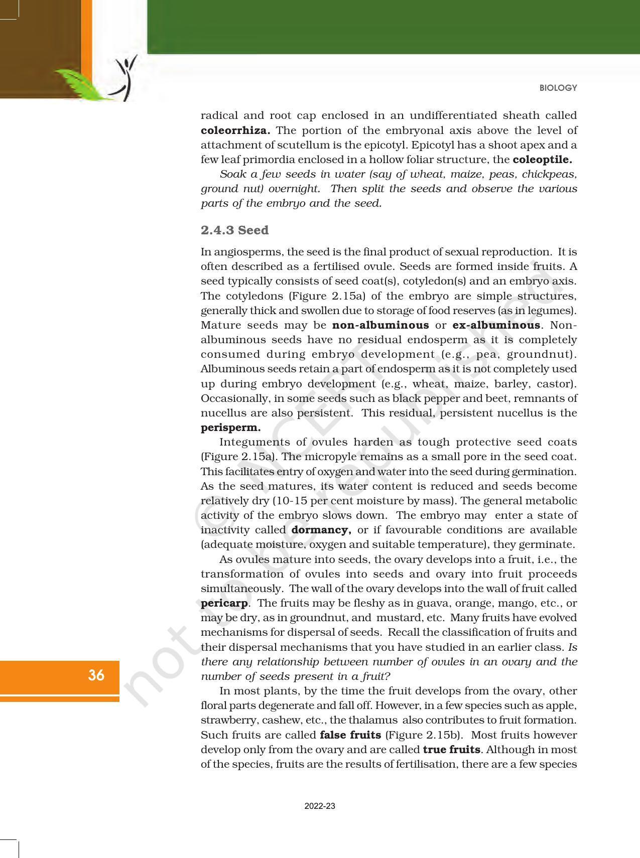 NCERT Book for Class 12 Biology Chapter 2 Sexual Reproduction in Flowering Plants - Page 18