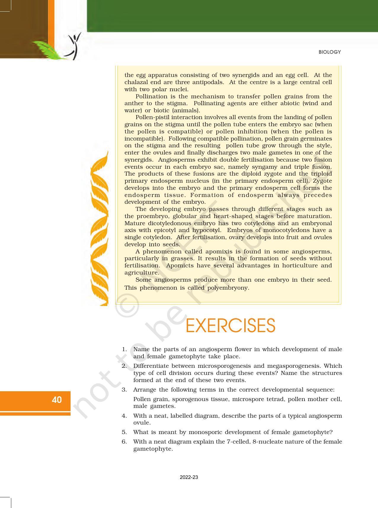 NCERT Book for Class 12 Biology Chapter 2 Sexual Reproduction in Flowering Plants - Page 22