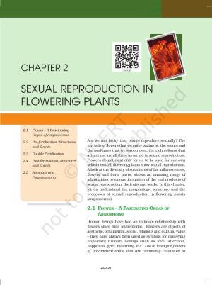 NCERT Book for Class 12 Biology Chapter 2 Sexual Reproduction in Flowering Plants