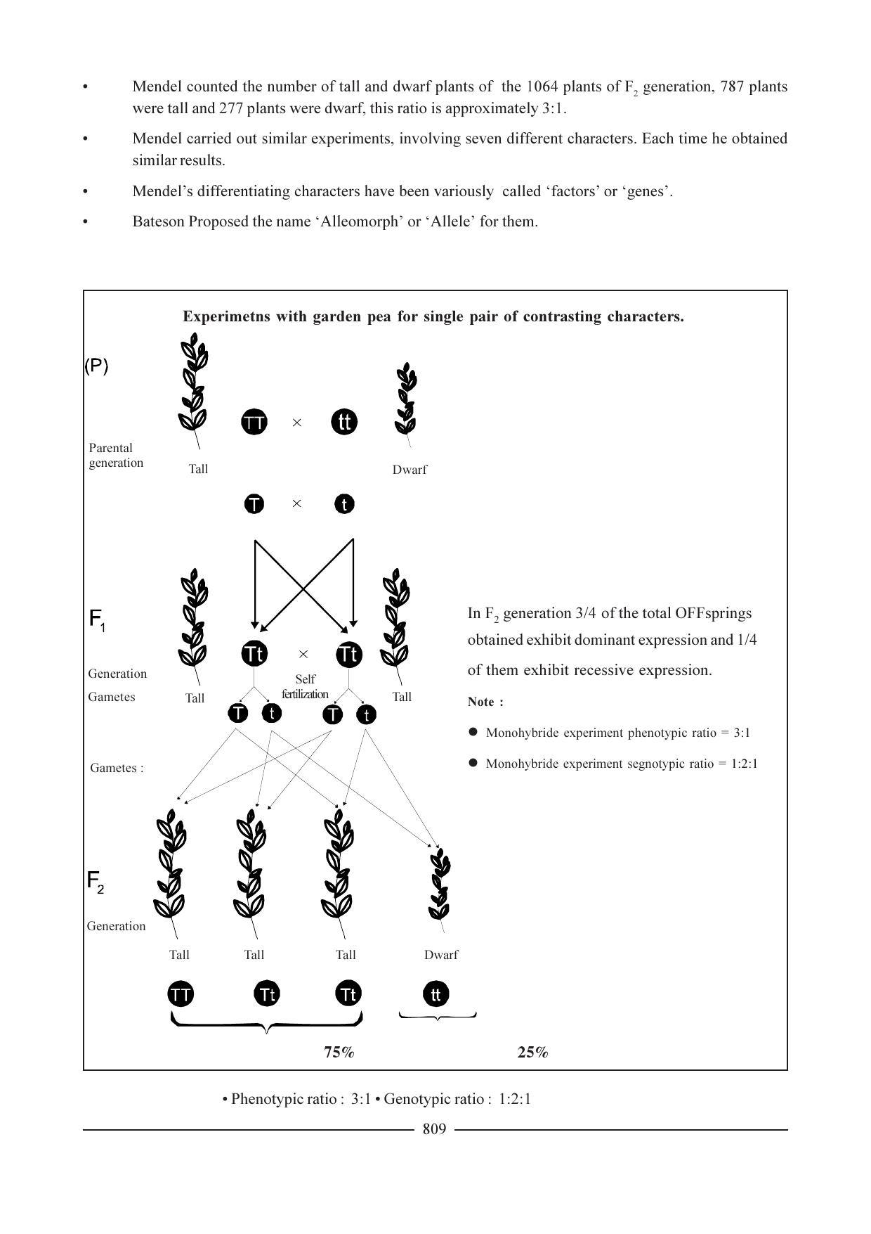 GSEB HSC Biology Question Paper (English Medium)- Chapter 38 - Page 4