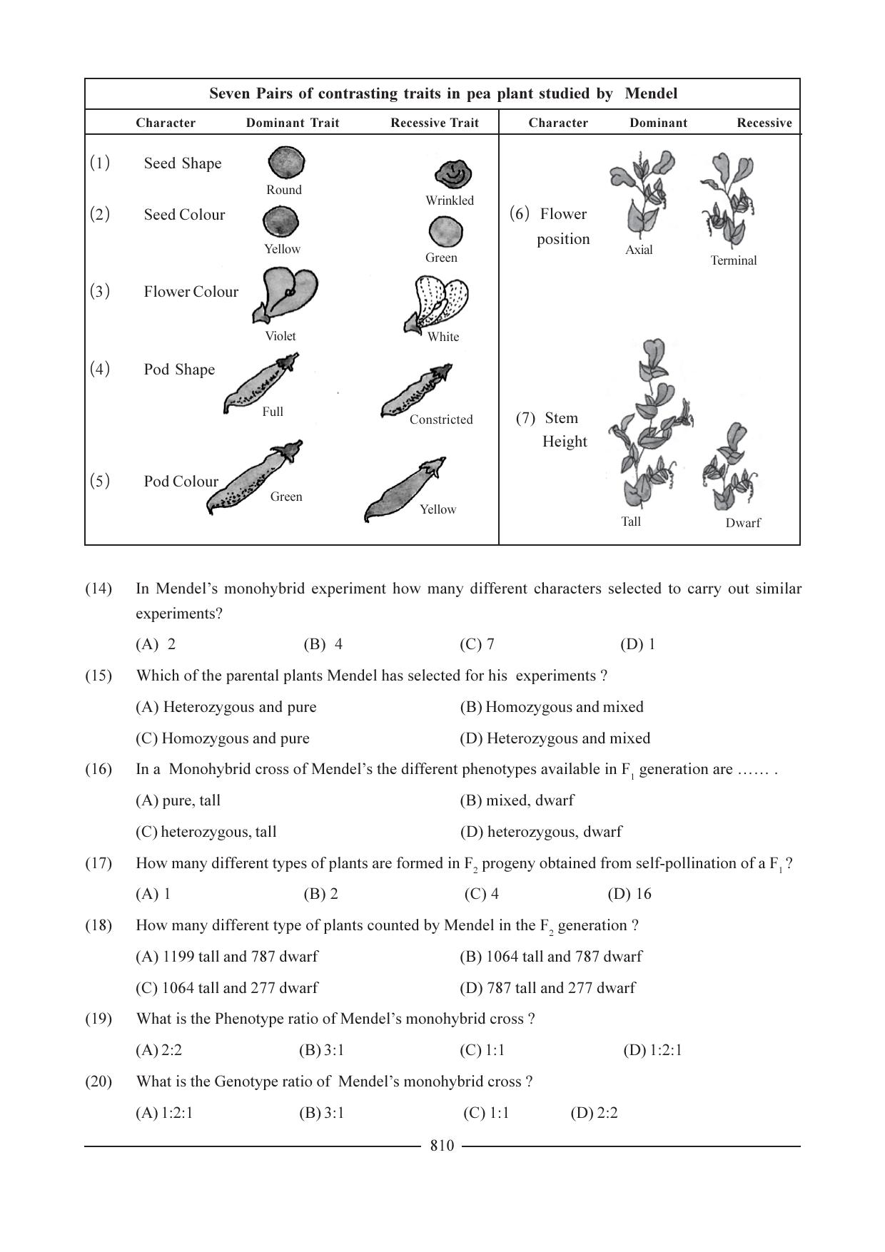 GSEB HSC Biology Question Paper (English Medium)- Chapter 38 - Page 5
