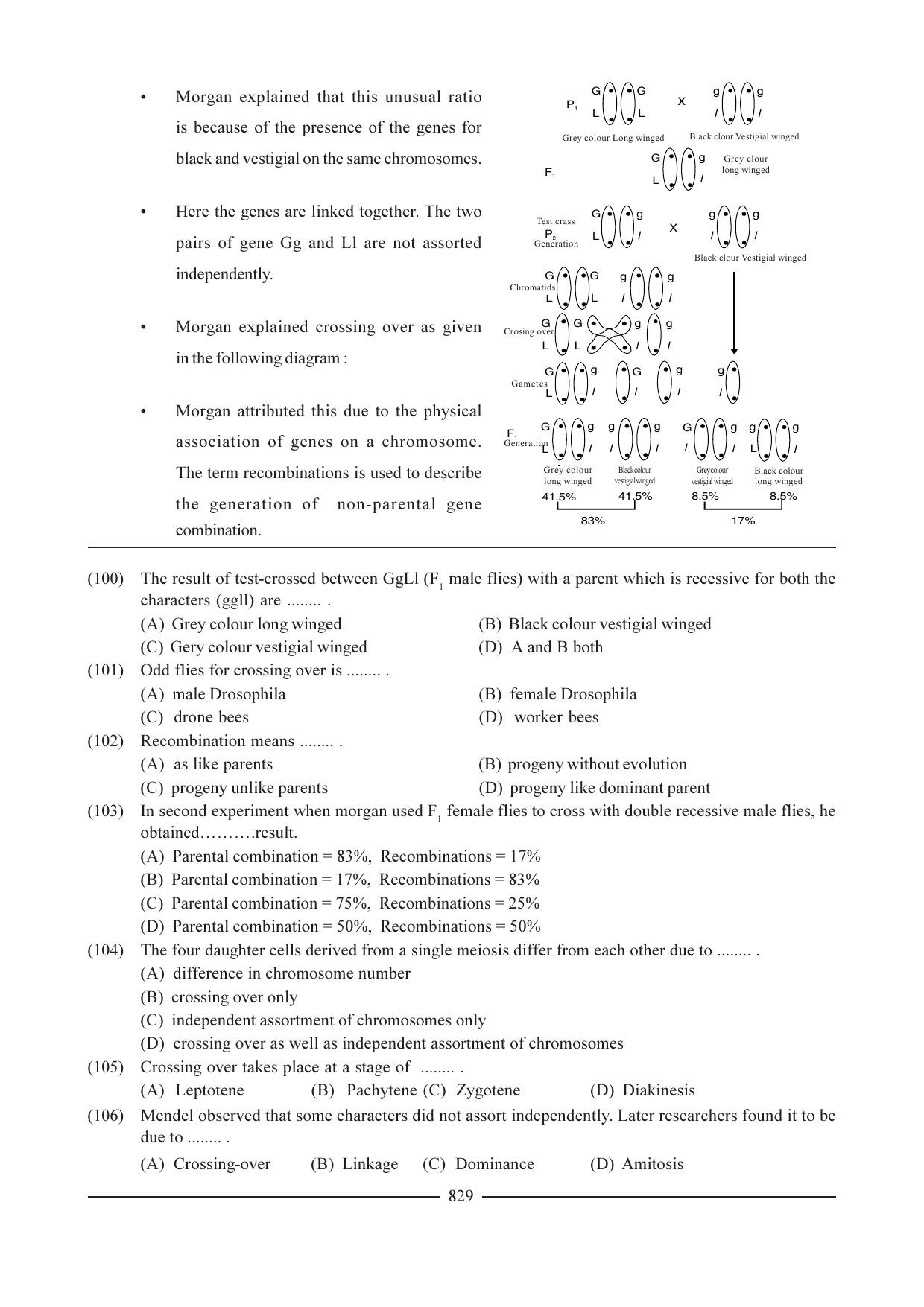 GSEB HSC Biology Question Paper (English Medium)- Chapter 38 - Page 24