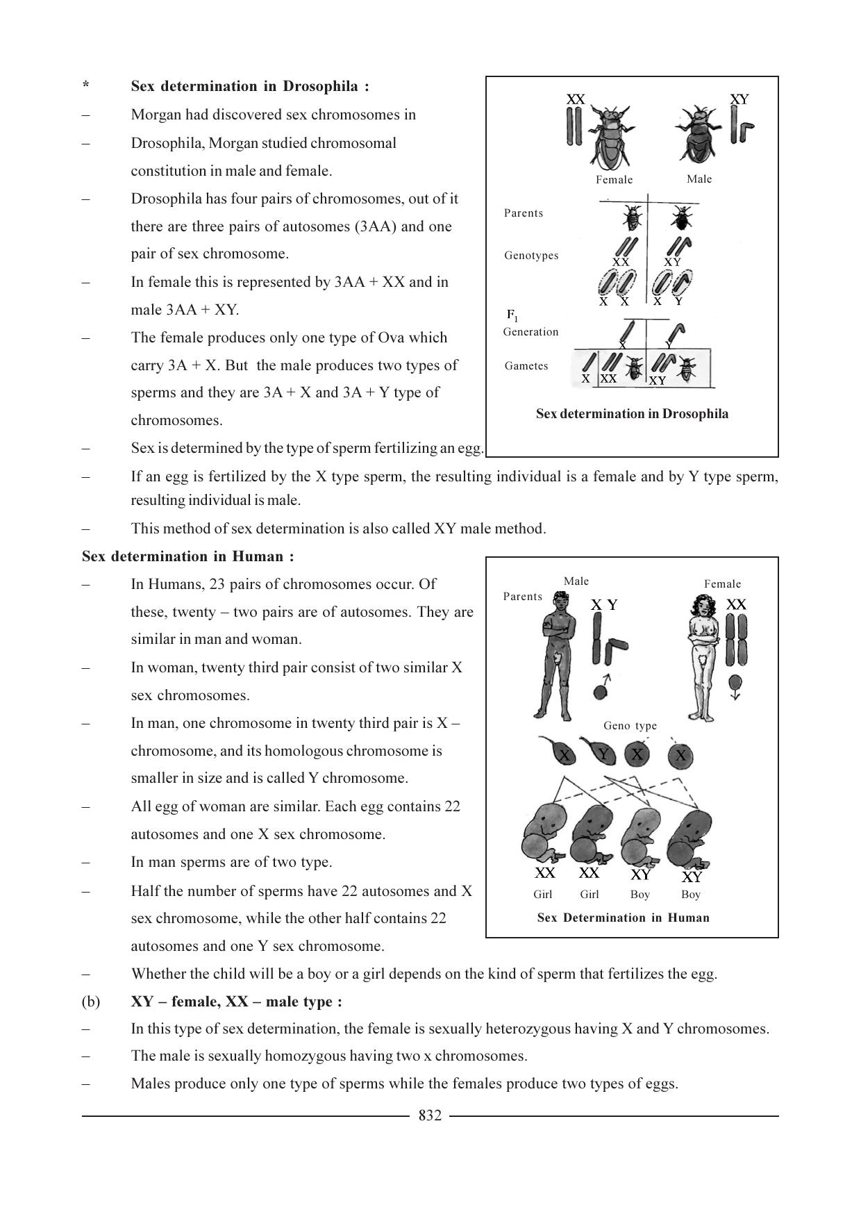 GSEB HSC Biology Question Paper (English Medium)- Chapter 38 - Page 27