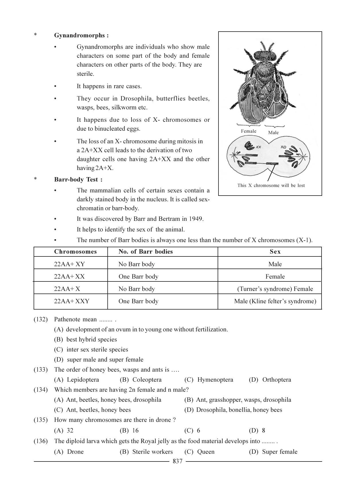 GSEB HSC Biology Question Paper (English Medium)- Chapter 38 - Page 32