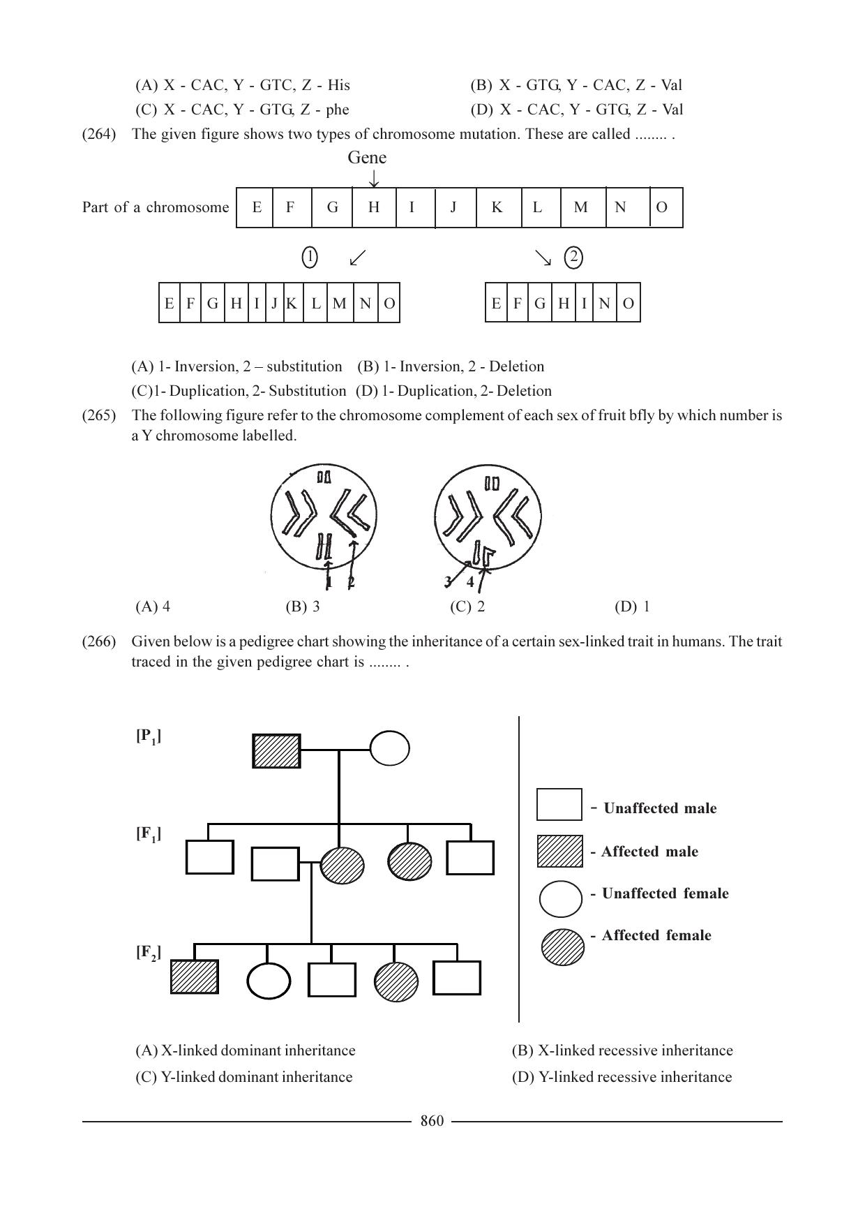 GSEB HSC Biology Question Paper (English Medium)- Chapter 38 - Page 55