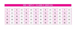 SOF IEO Class 3 SET C 2023-24 Answer Key