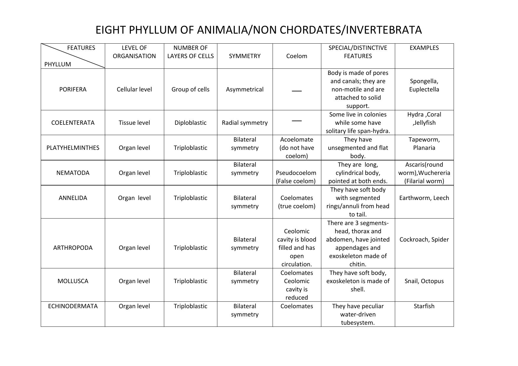 CBSE Worksheets for Class 9 Biology Whittaker’s Five Kingdoms Assignment - Page 3
