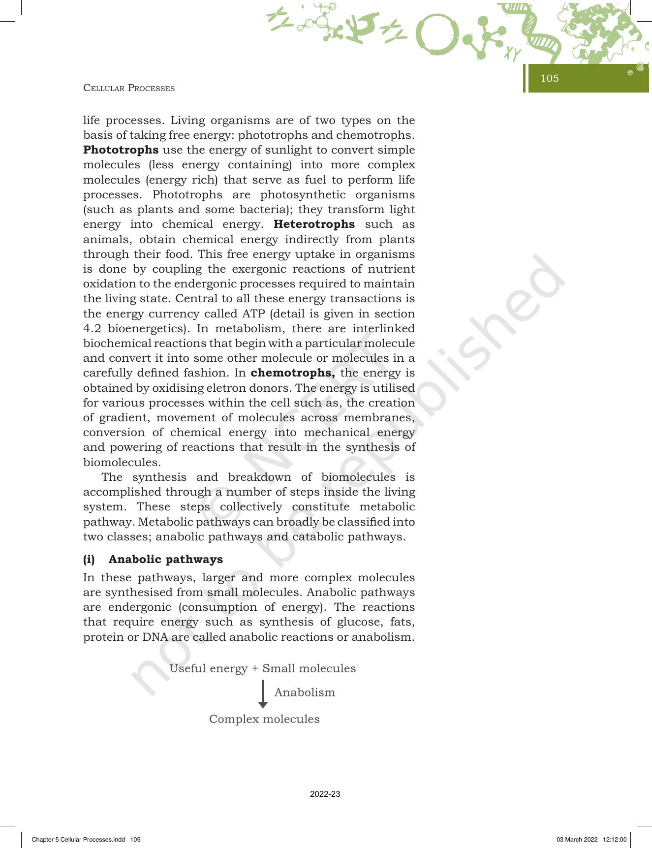 NCERT Book for Class 11 Biotechnology Chapter 5 Cellular Processes - Page 3