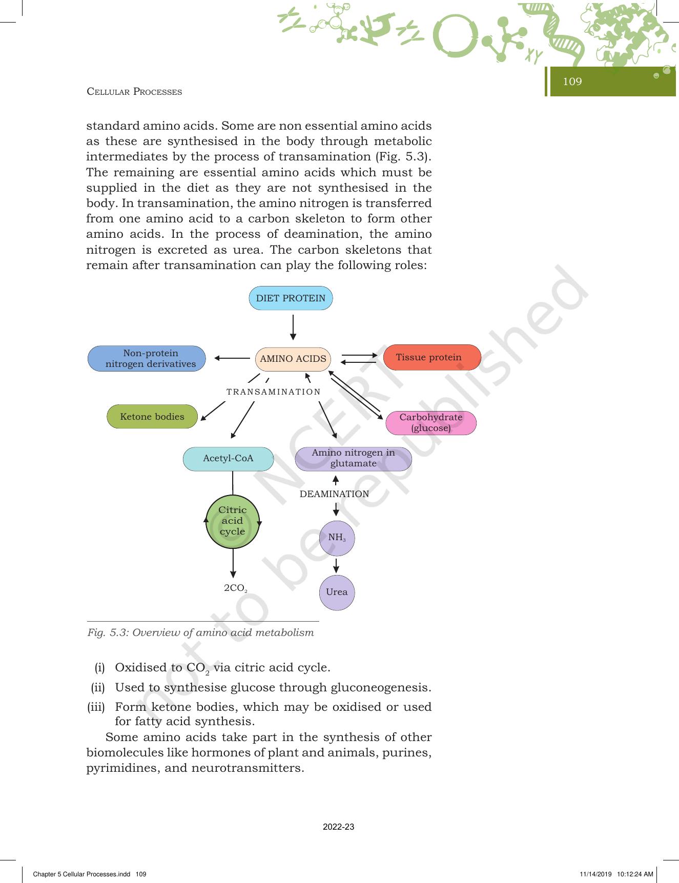 NCERT Book for Class 11 Biotechnology Chapter 5 Cellular Processes - Page 7