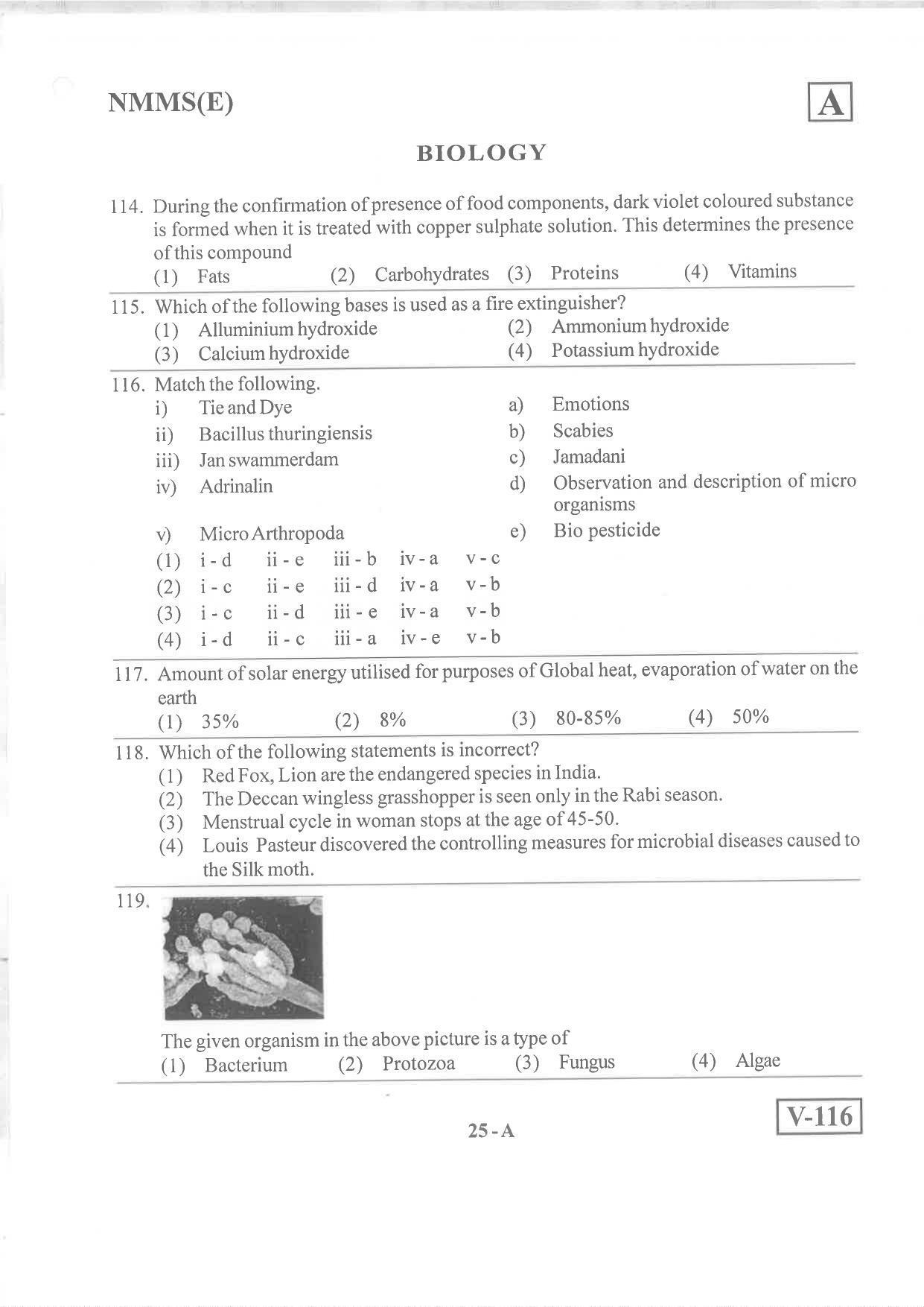 English Medium Nov 2019 (Set A) Class 8 Andhra Pradesh NMMS Question Papers - Page 25