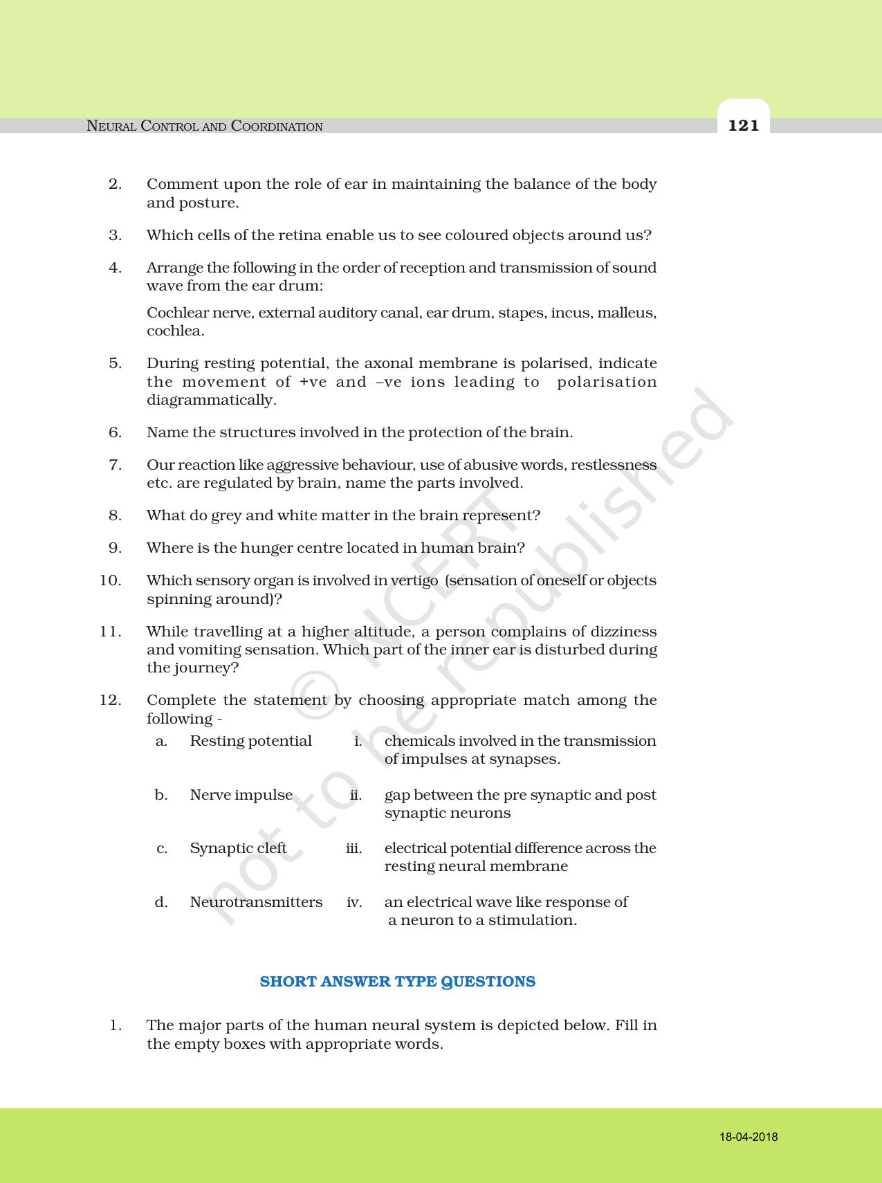 NCERT Exemplar Class 11: Biology Chapter 21 (NEURAL CONTROL AND COORDINATION) - Page 3