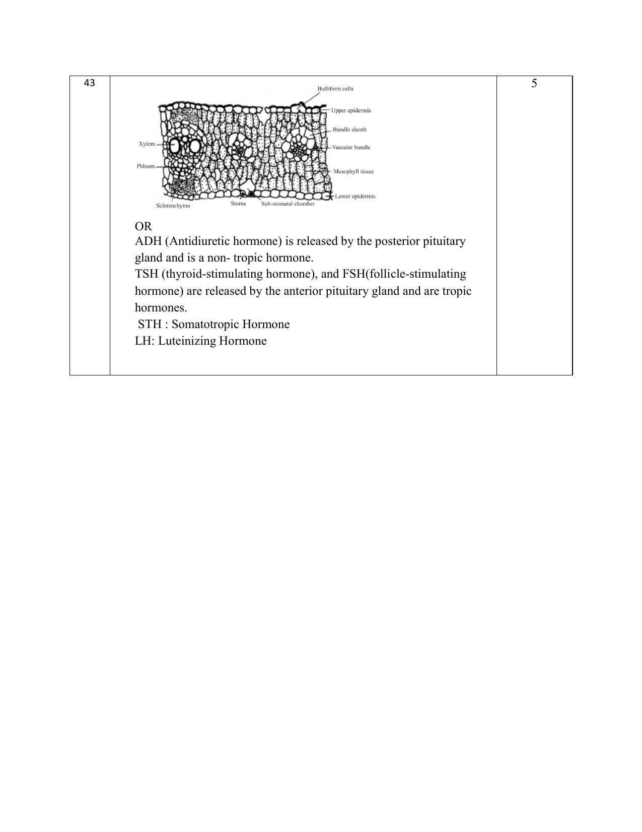 NIOS Class 12 Biology Sample Paper - Page 19