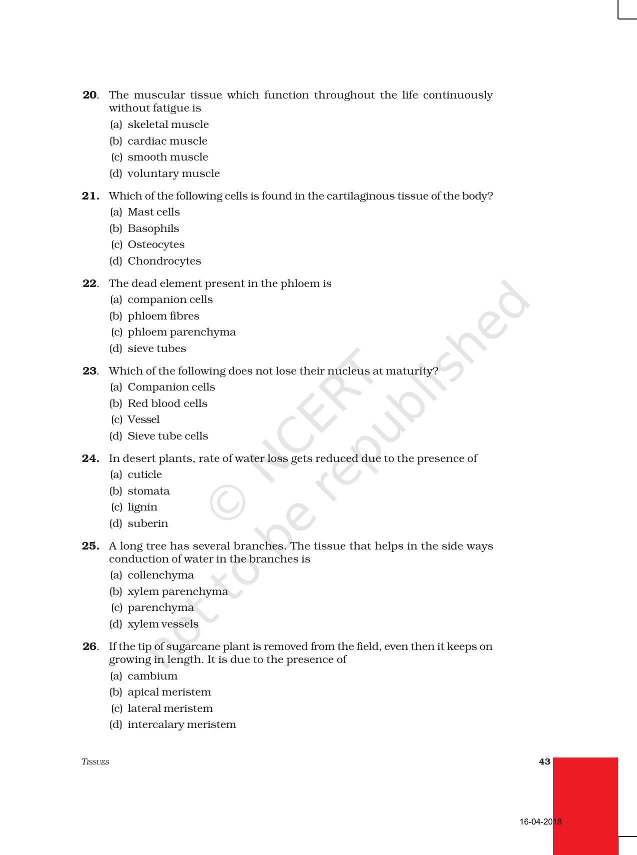 NCERT Exemplar Book for Class 9 Science: Chapter 6 Tissues - Page 4