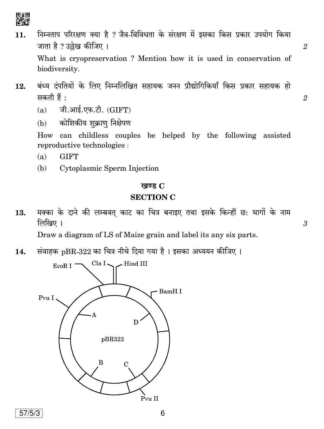 CBSE Class 12 57-5-3 Biology 2019 Question Paper - Page 6