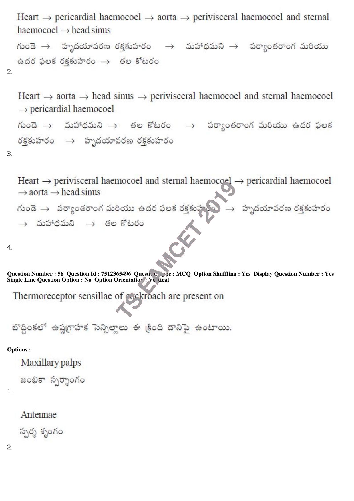 TS EAMCET 2019 Agriculture and Medical Question Paper with Key (8 May 2019 Afternoon) - Page 53