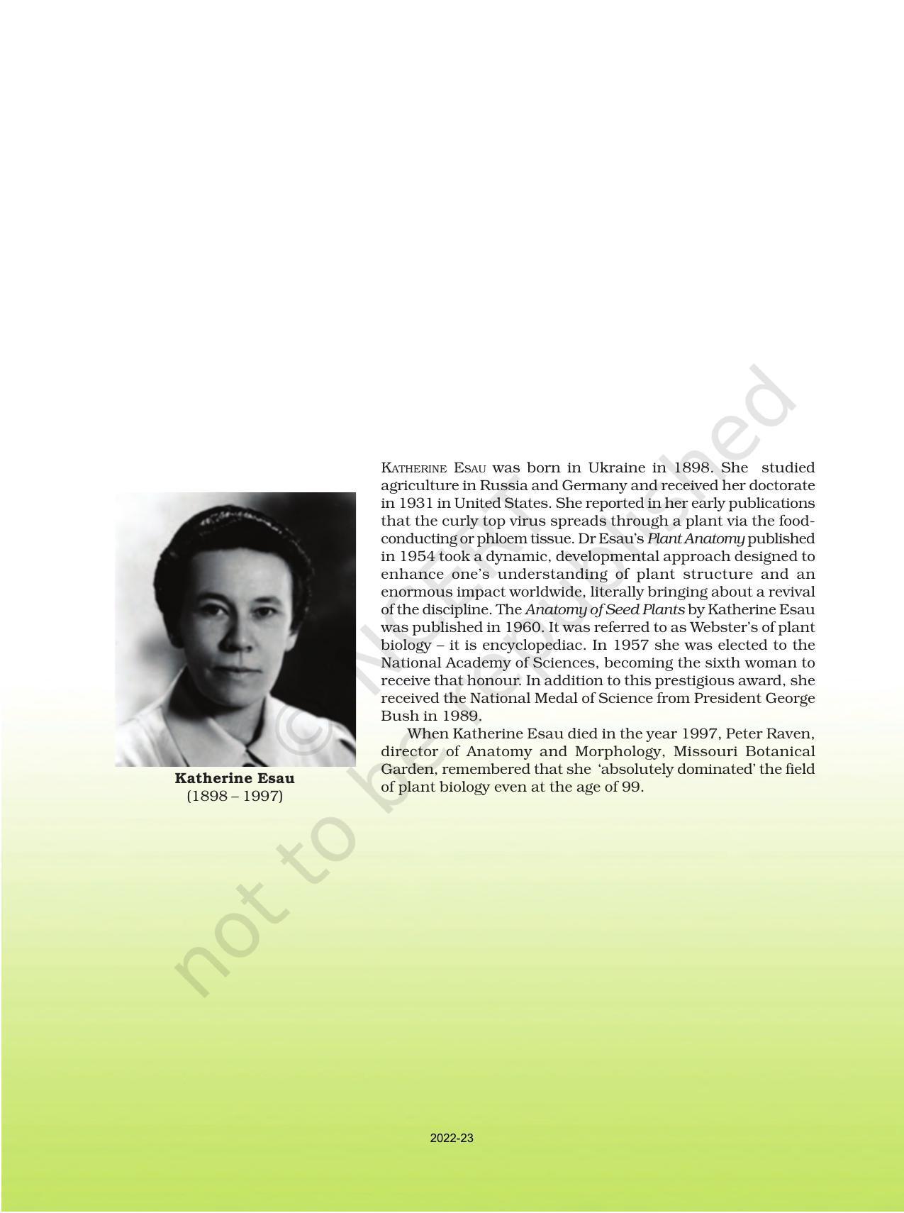 NCERT Book for Class 11 Biology Chapter 5 Morphology of Flowering Plants - Page 2