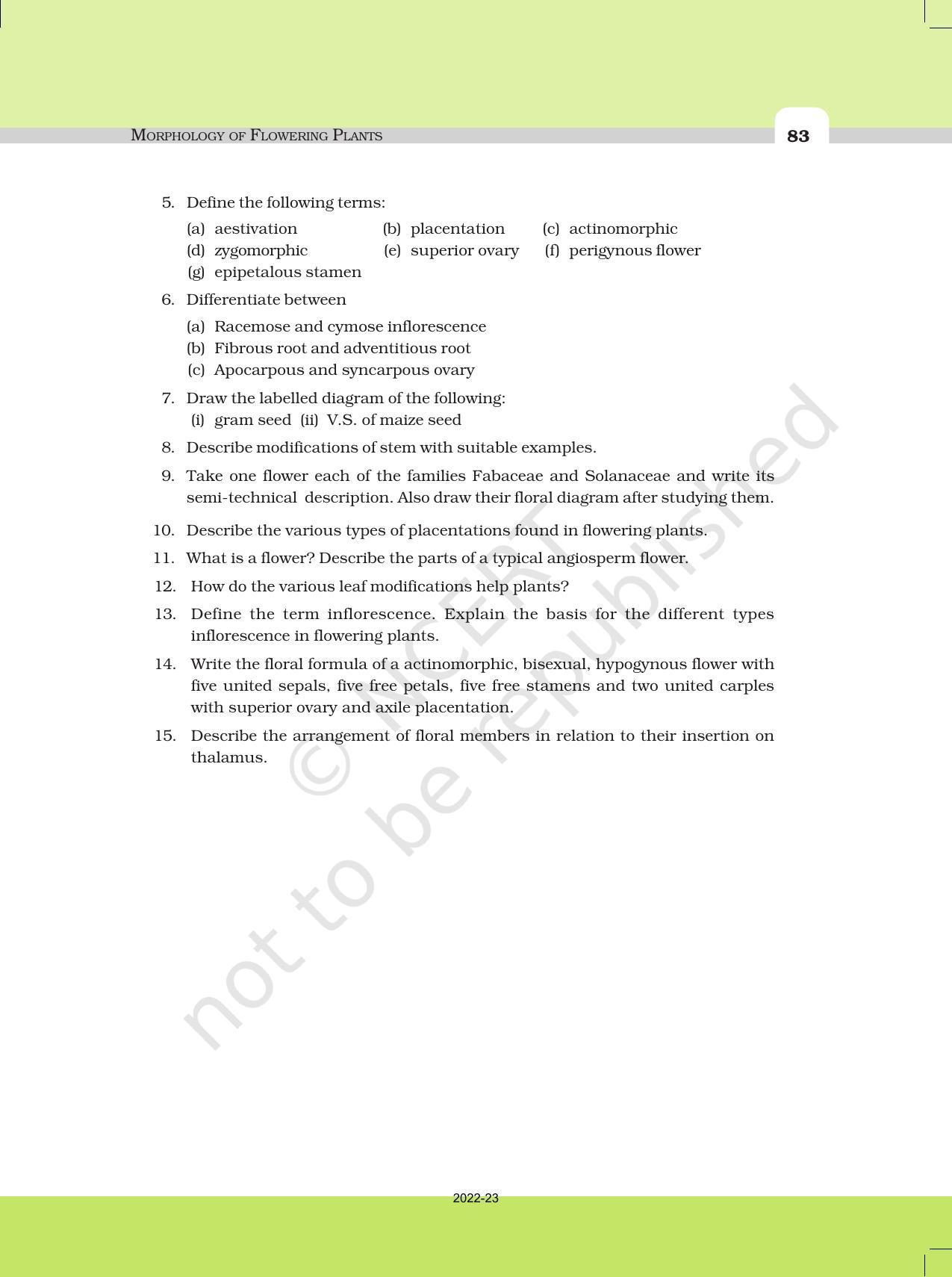NCERT Book for Class 11 Biology Chapter 5 Morphology of Flowering Plants - Page 21