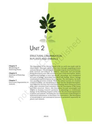 NCERT Book for Class 11 Biology Chapter 5 Morphology of Flowering Plants