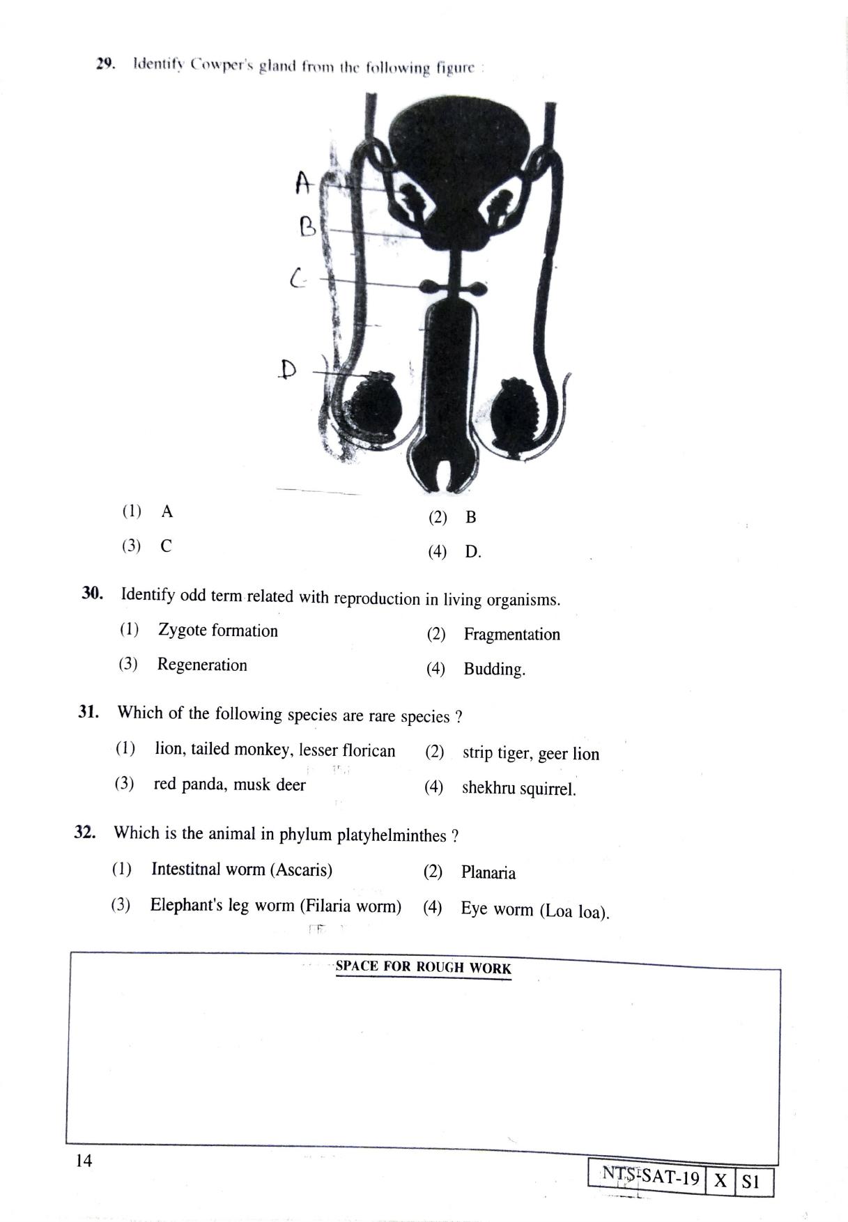 Maharashtra NTSE 2020 SAT (Marathi) Question Paper - Page 14