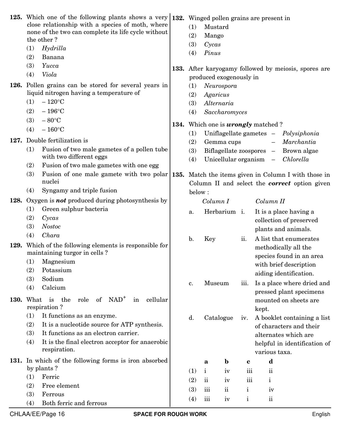 NEET English EE 2019 Question Paper - Page 16