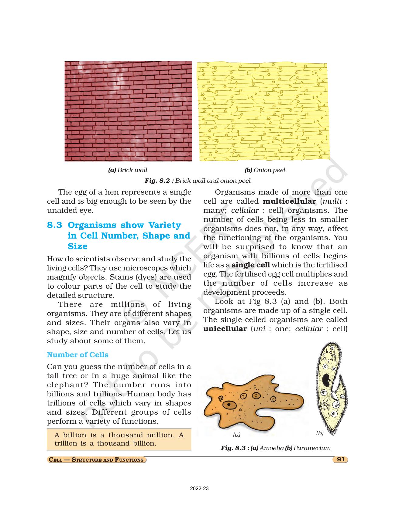 NCERT Book for Class 8 Science Chapter 8 Cell Structure and Functions - Page 2