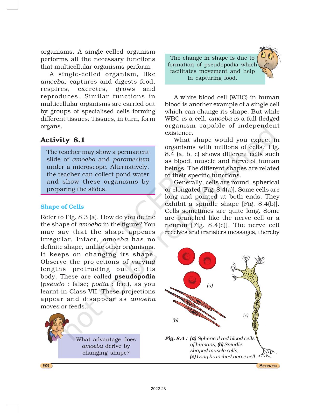 NCERT Book for Class 8 Science Chapter 8 Cell Structure and Functions - Page 3