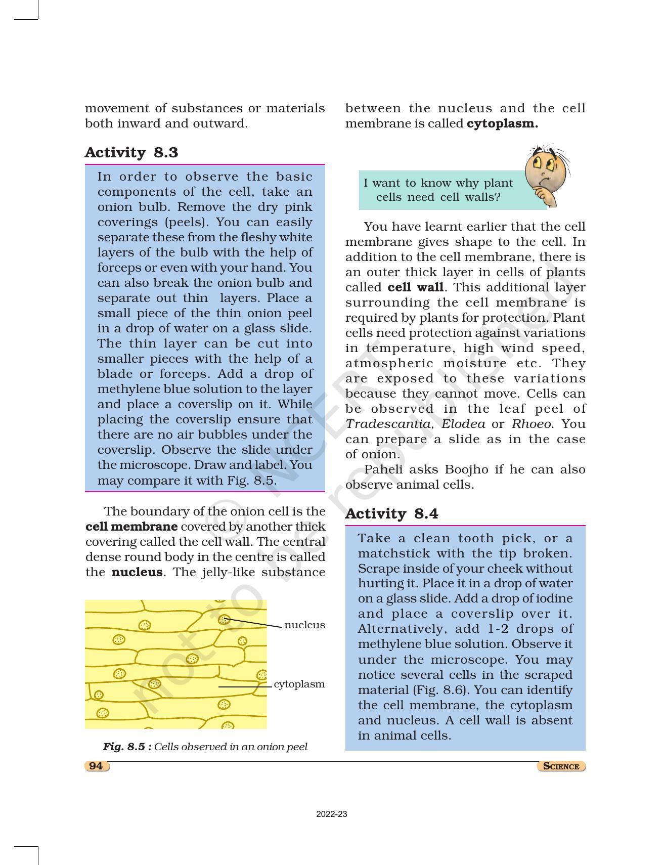 NCERT Book for Class 8 Science Chapter 8 Cell Structure and Functions - Page 5