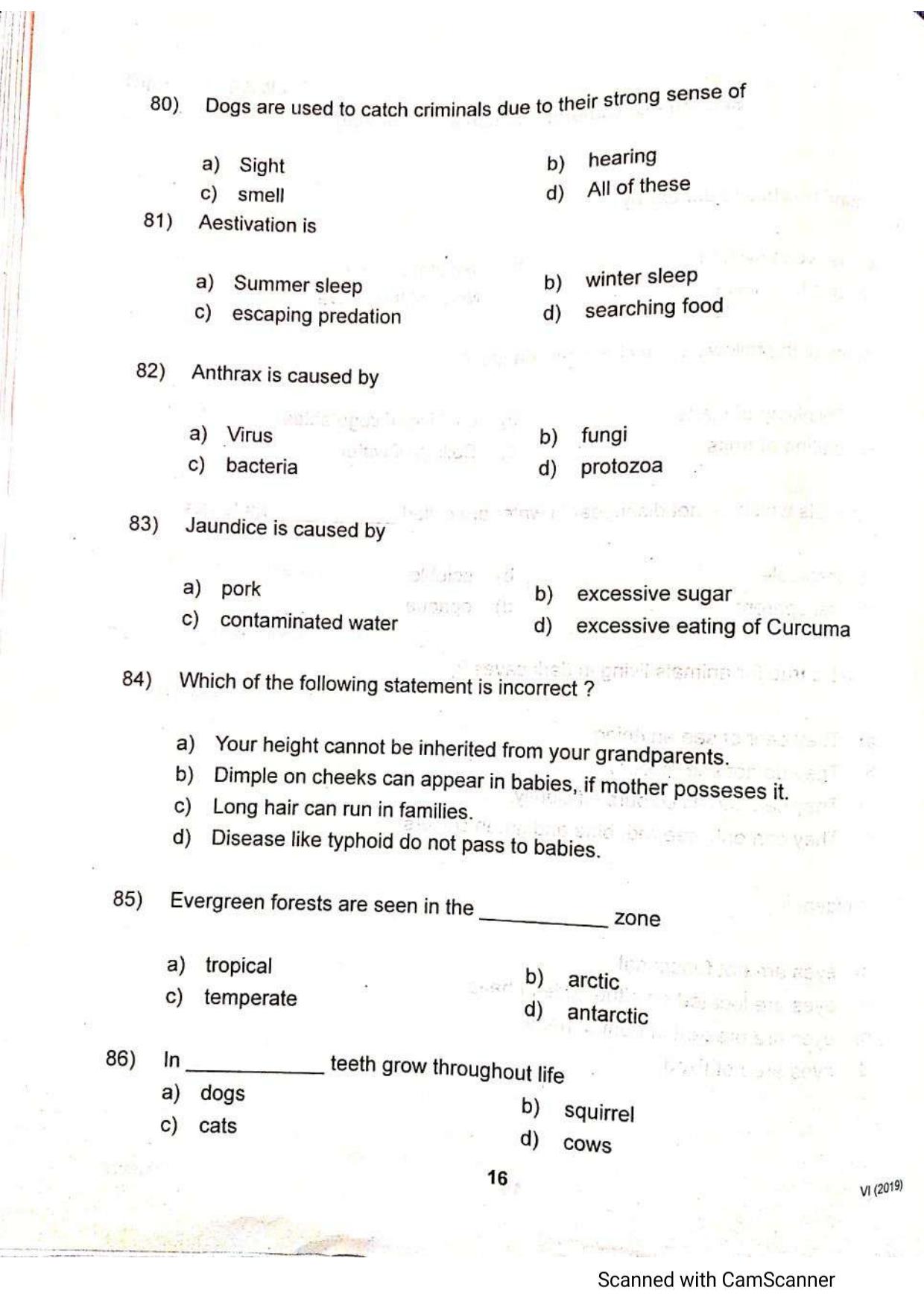 JKSSEE 2019 Class 6 Question Paper - Page 15