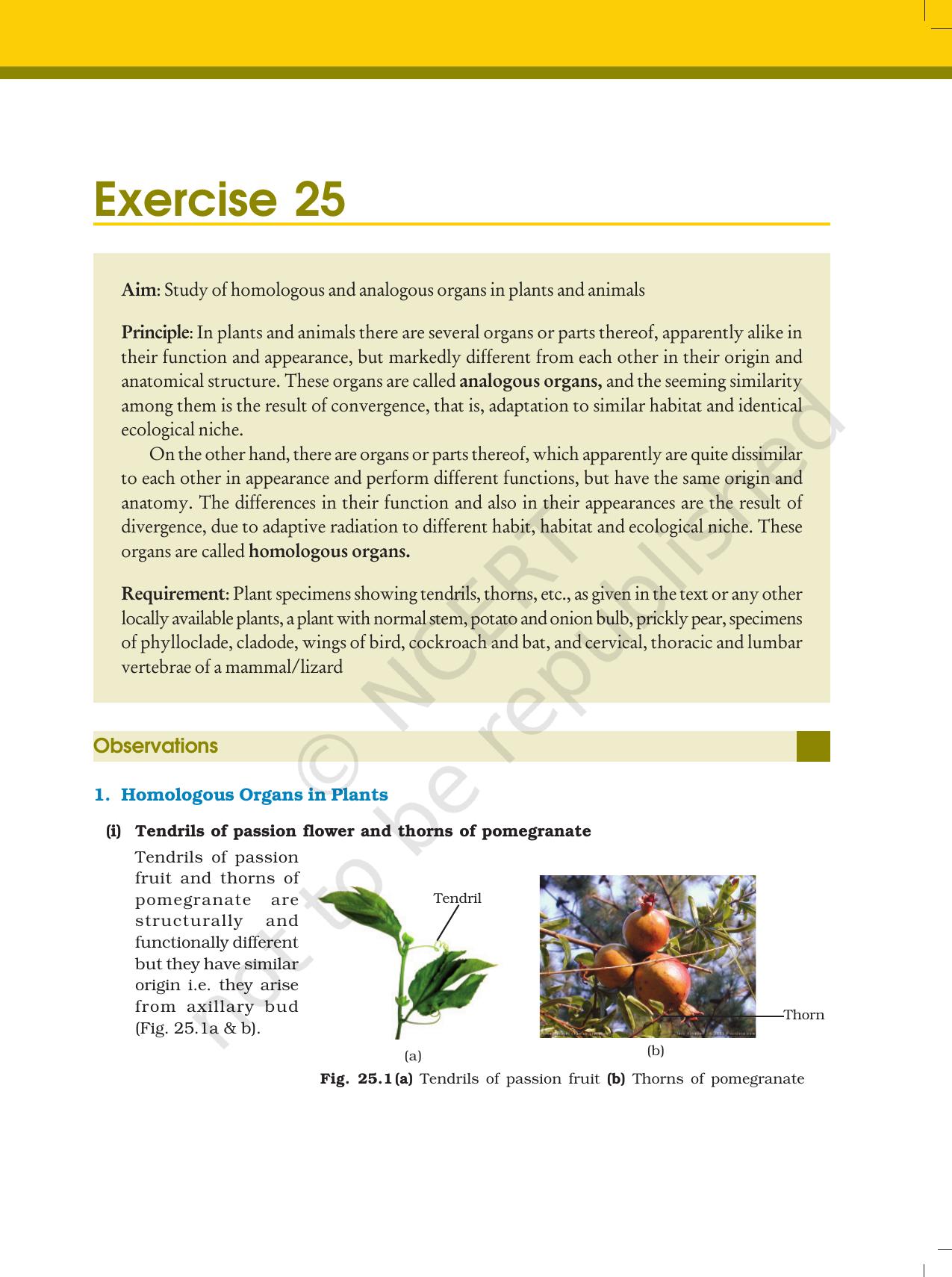 NCERT Laboratory Manuals for Class XII Biology - Exercise 25 - Page 1