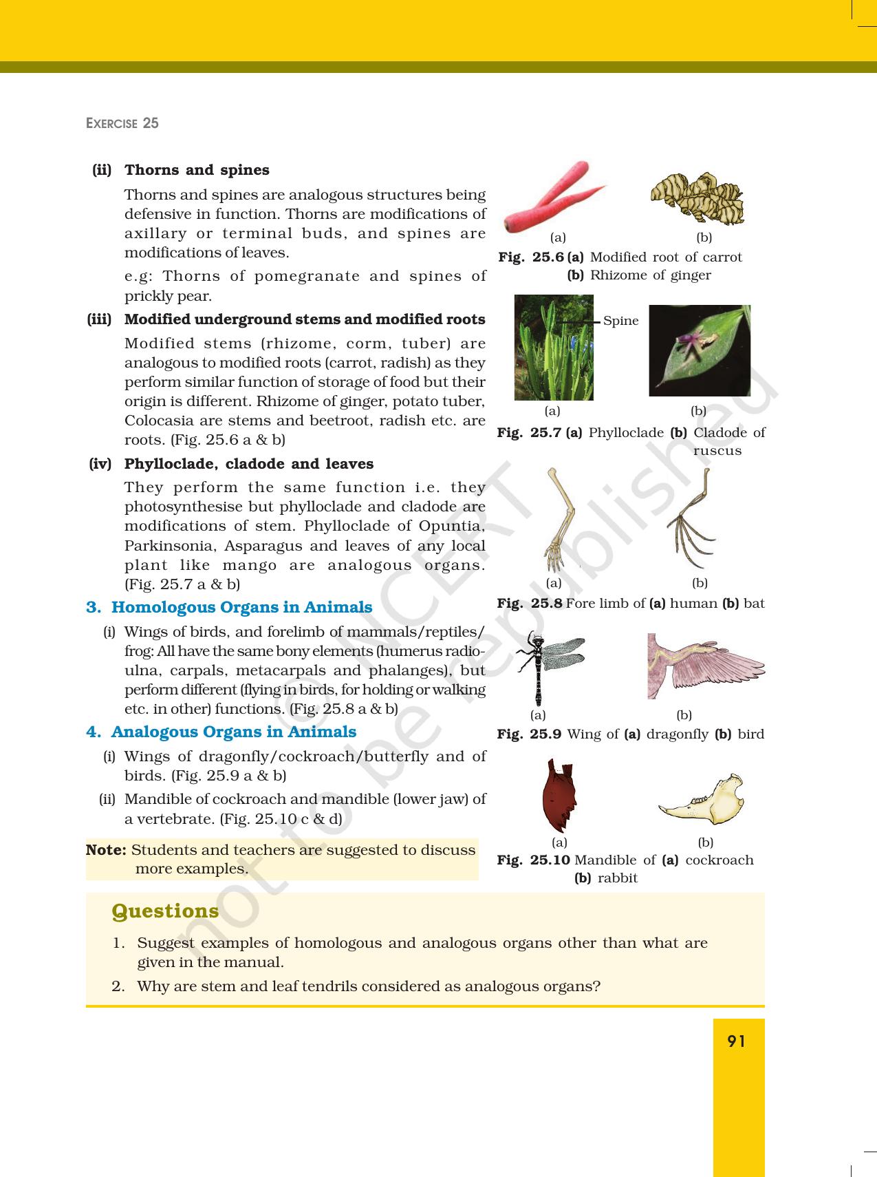 NCERT Laboratory Manuals for Class XII Biology - Exercise 25 - Page 3