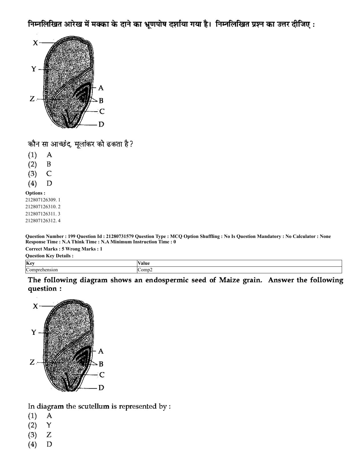 CUET 2023 English Hindi Shift 3 Question Papers - Page 174